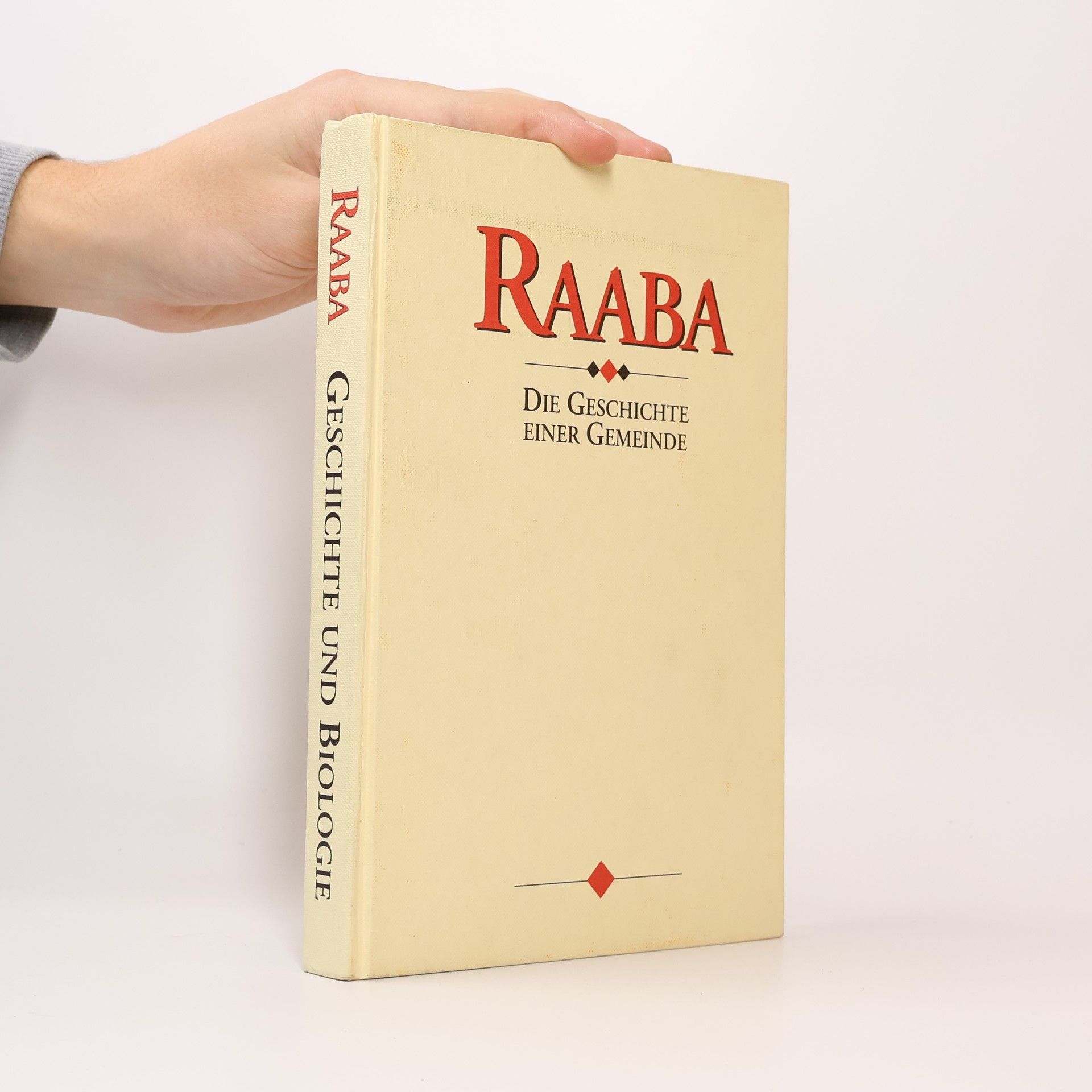 Ingo Mirsch Raaba. Die Geschichte einer Gemeinde