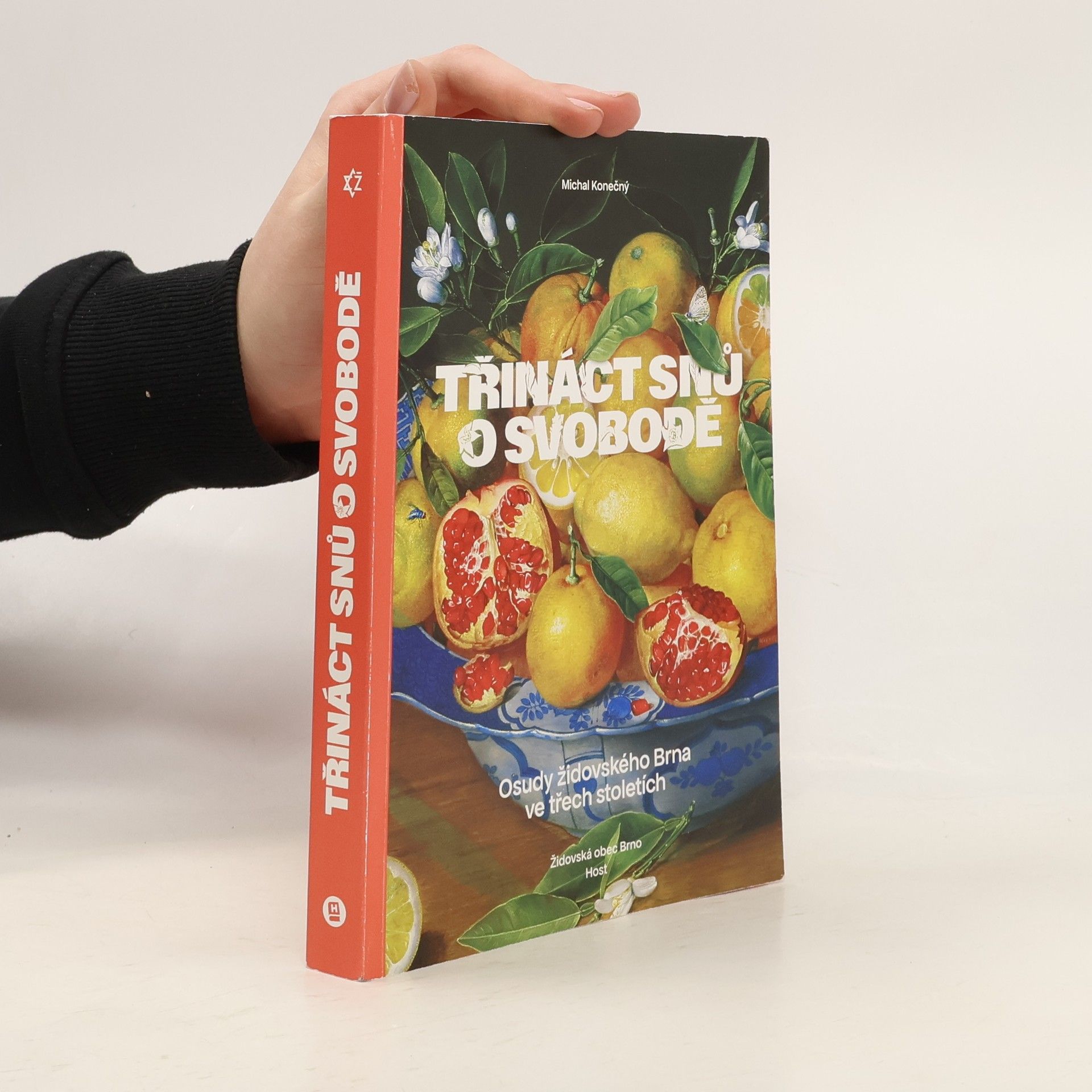 Třináct snů o svobodě : osudy židovského Brna ve třech stoletích