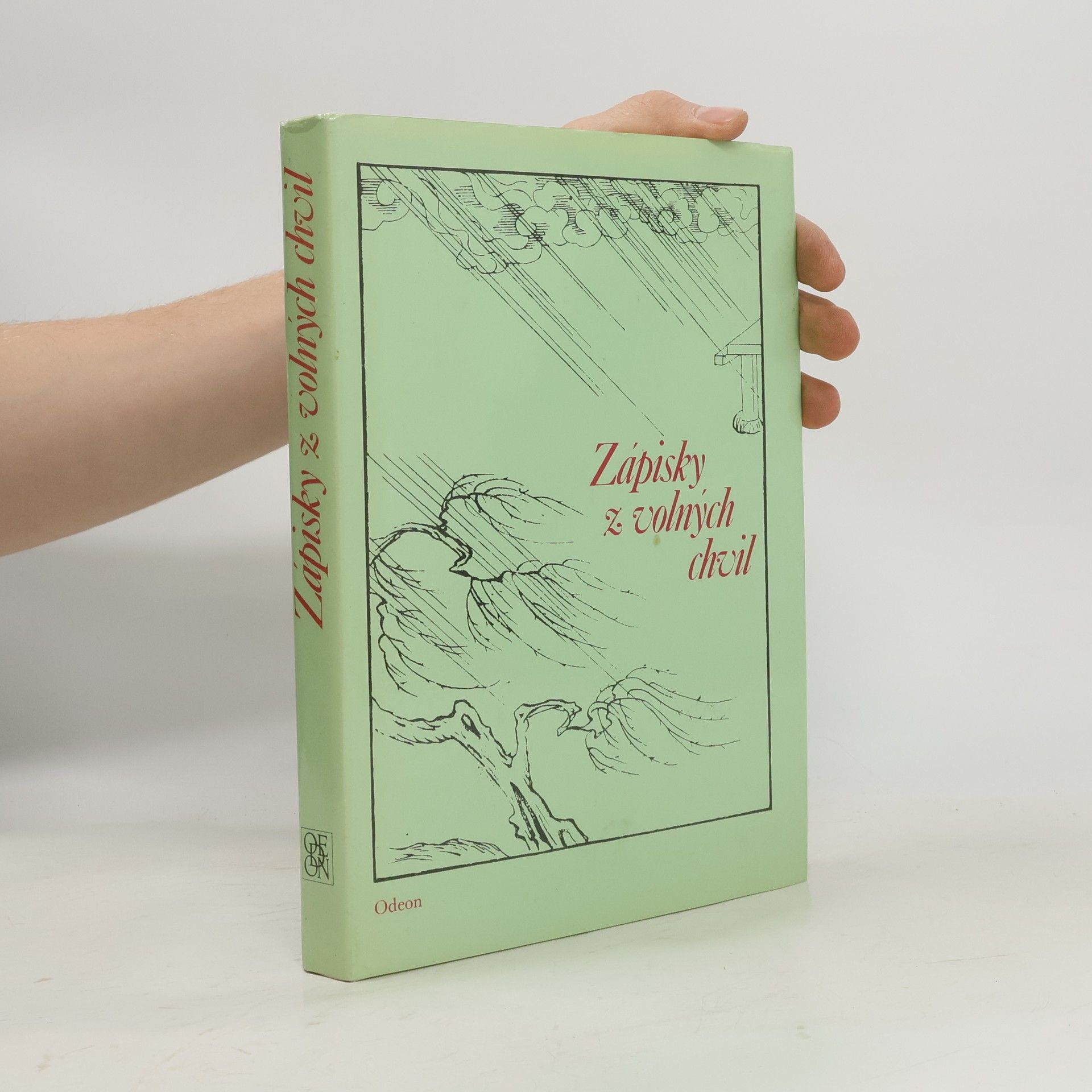 Zápisky z volných chvil