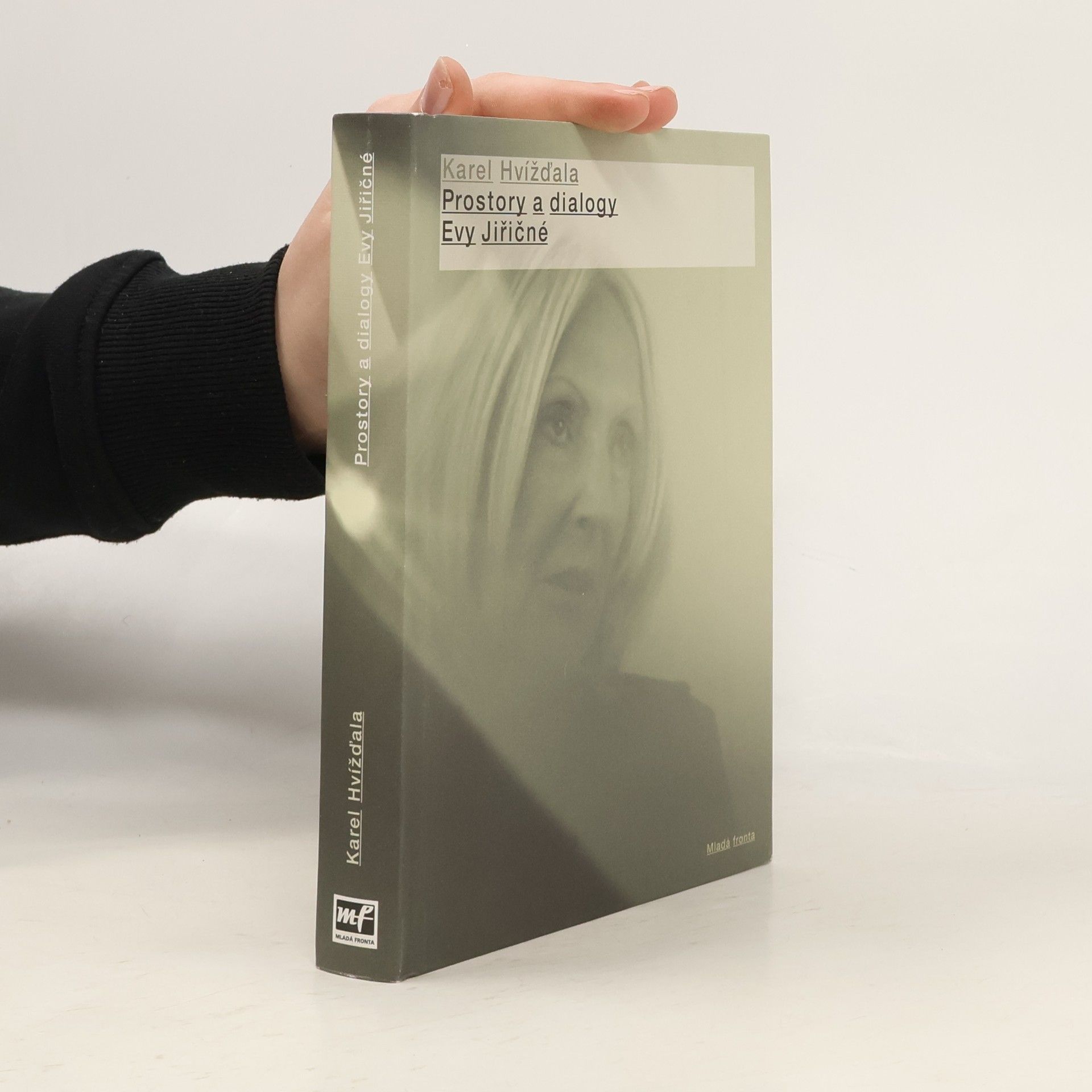 Karel Hvížďala Prostory a dialogy Evy Jiřičné