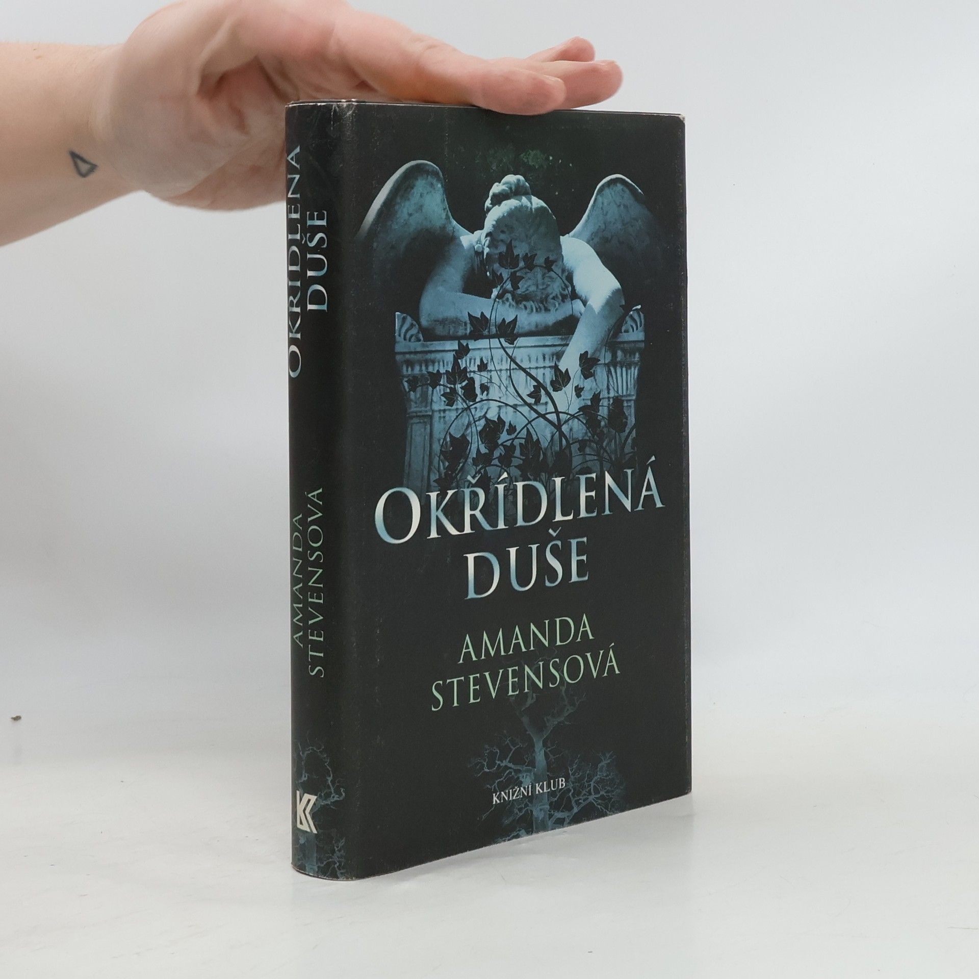 Amanda Stevens Okřídlená duše