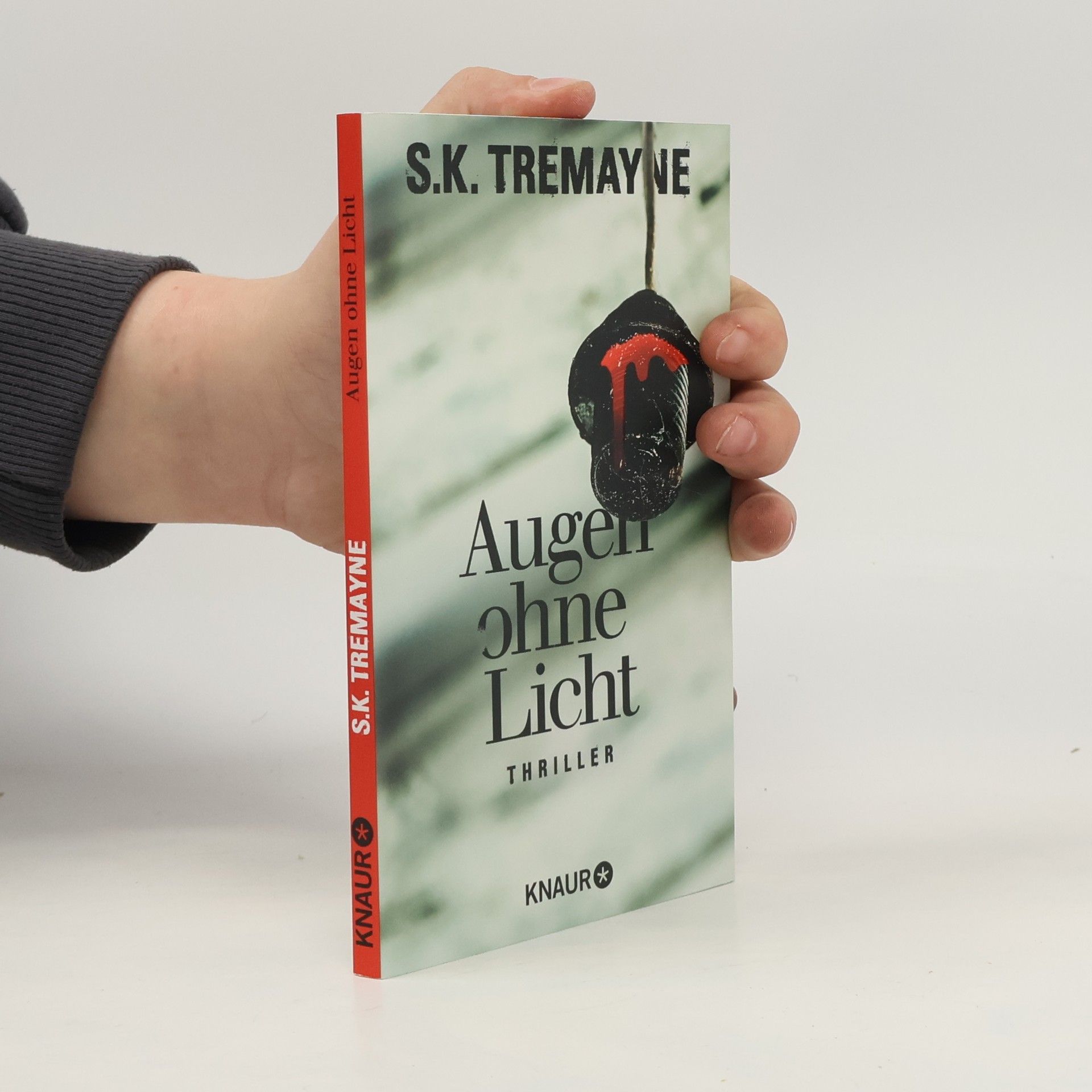 S. K. Tremayne Augen ohne Licht
