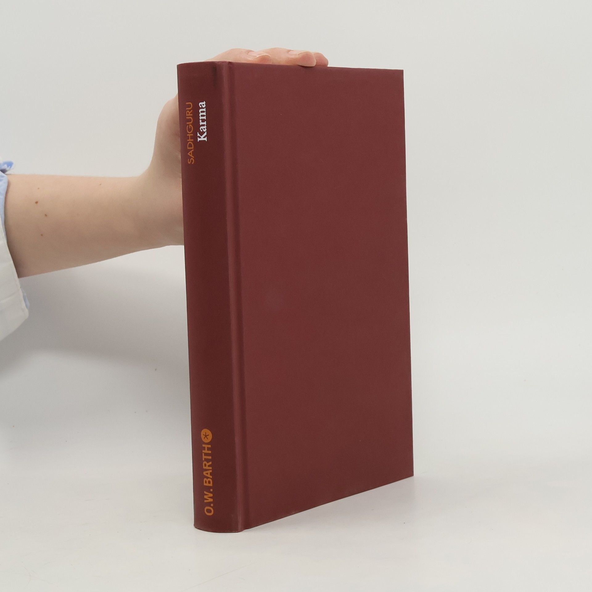 Sadhguru Die Weisheit eines Yogi