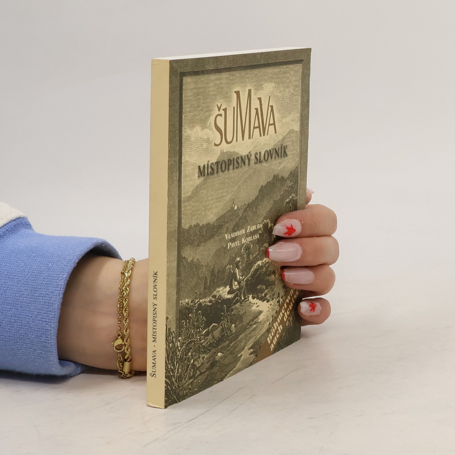 Pavel Koblasa Šumava: místopisný slovník