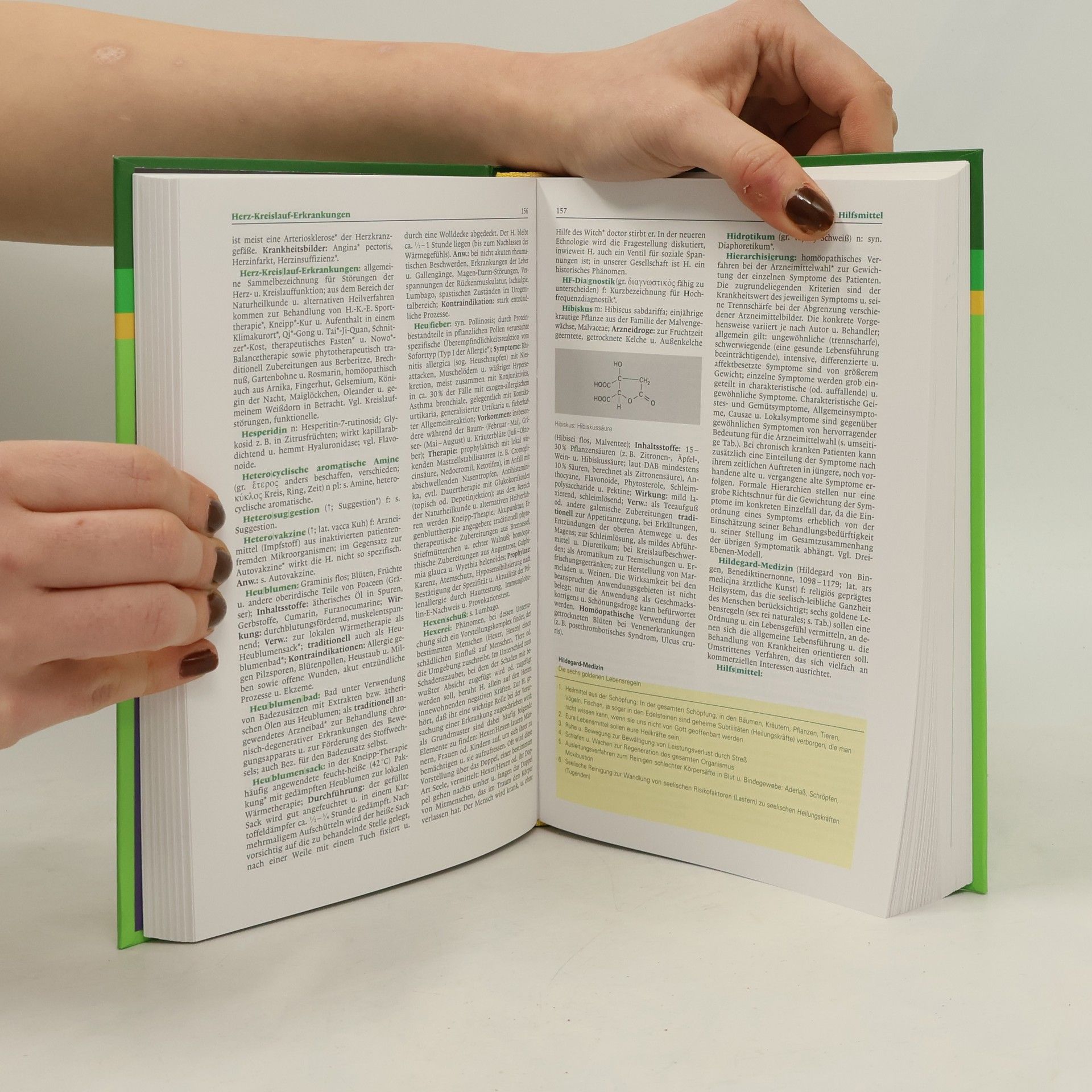 Willibald Pschyrembel Pschyrembel Wörterbuch Naturheilkunde und alternative Heilverfahren mit Homöopathie, Psychotherapie und Ernährungsmedizin