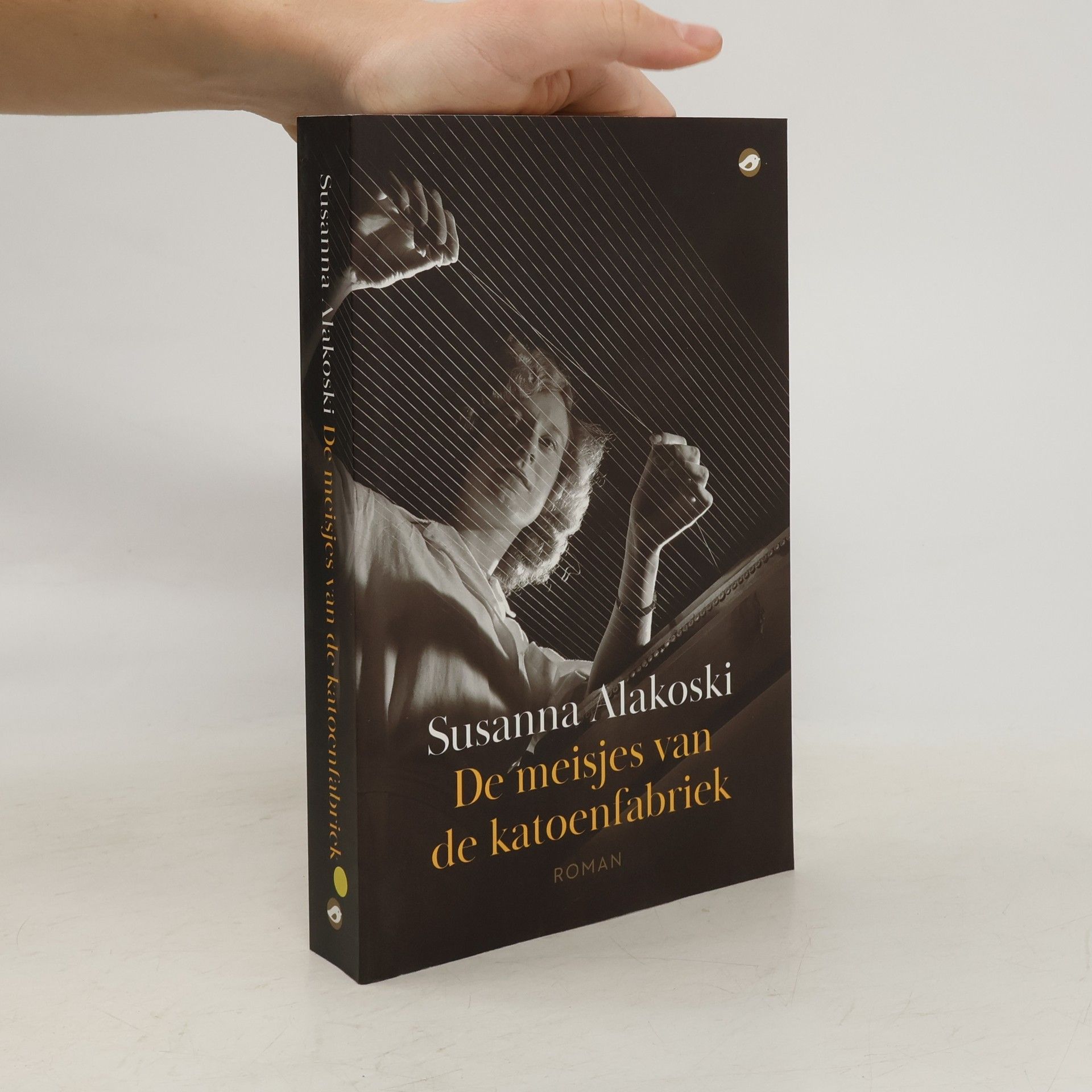 De meisjes van de katoenfabriek