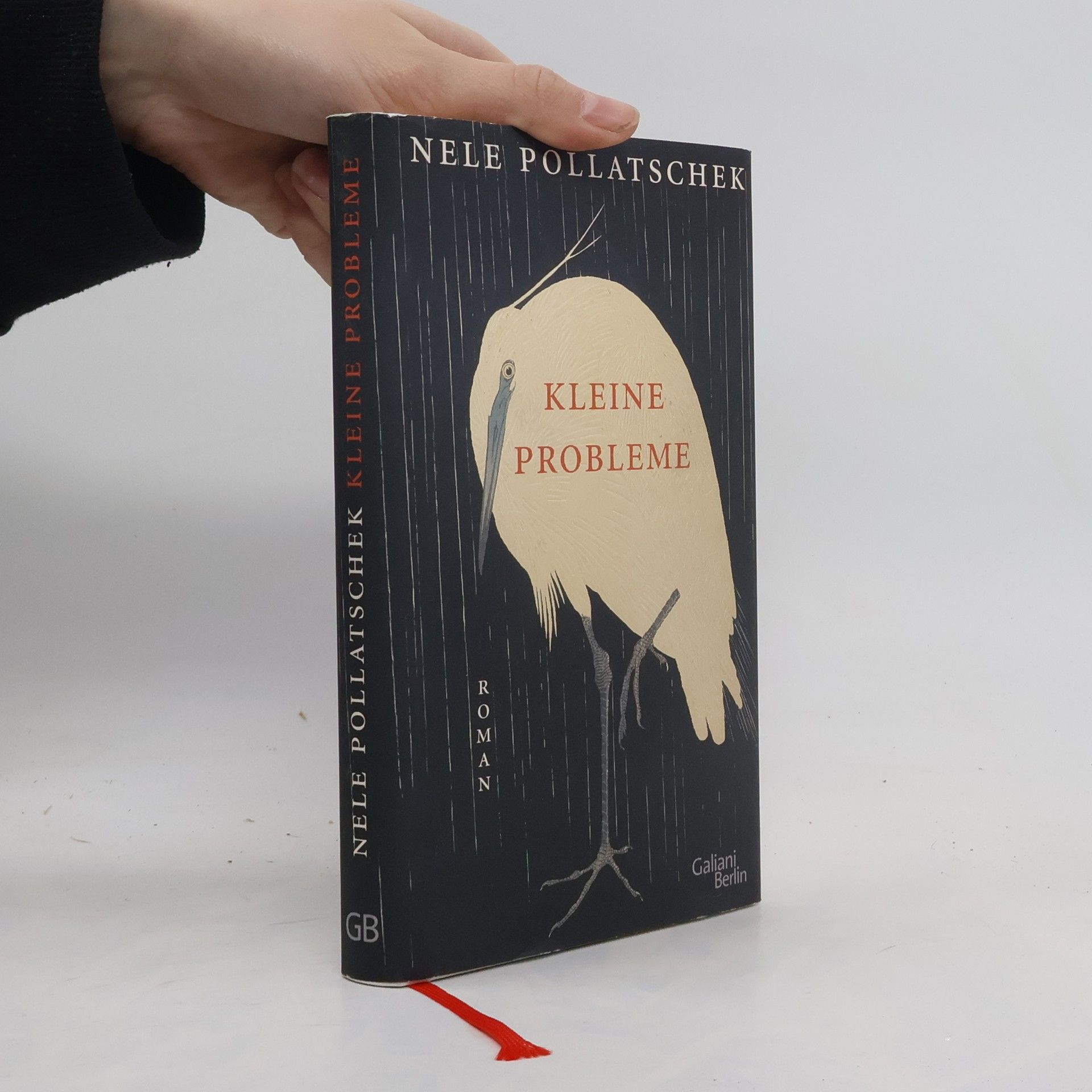 Nele Pollatschek Kleine Probleme