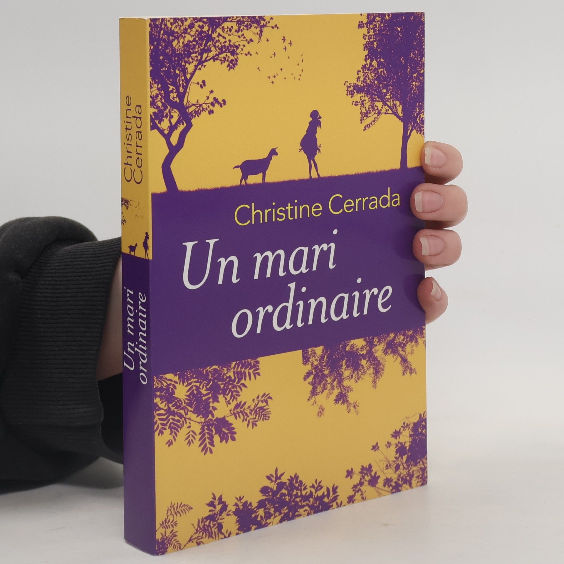 Christine Cerrada Un mari ordinaire