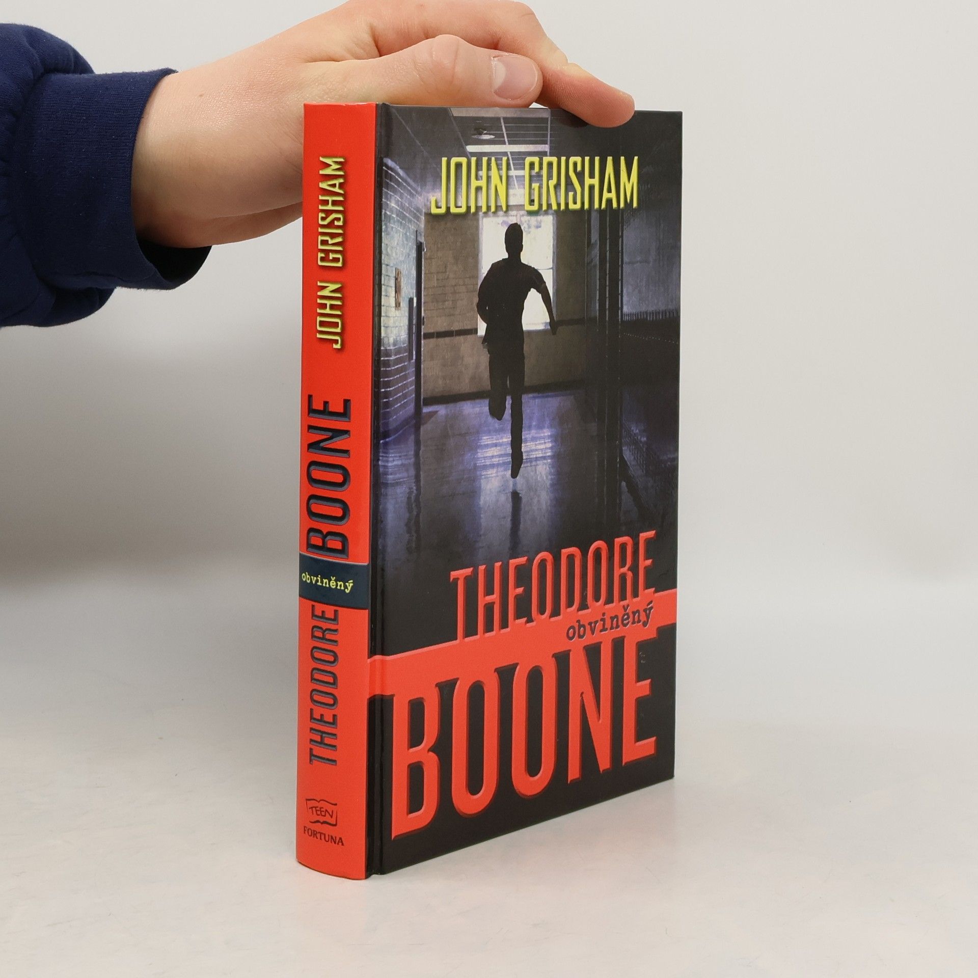 John Grisham Theodore Boone : obviněný