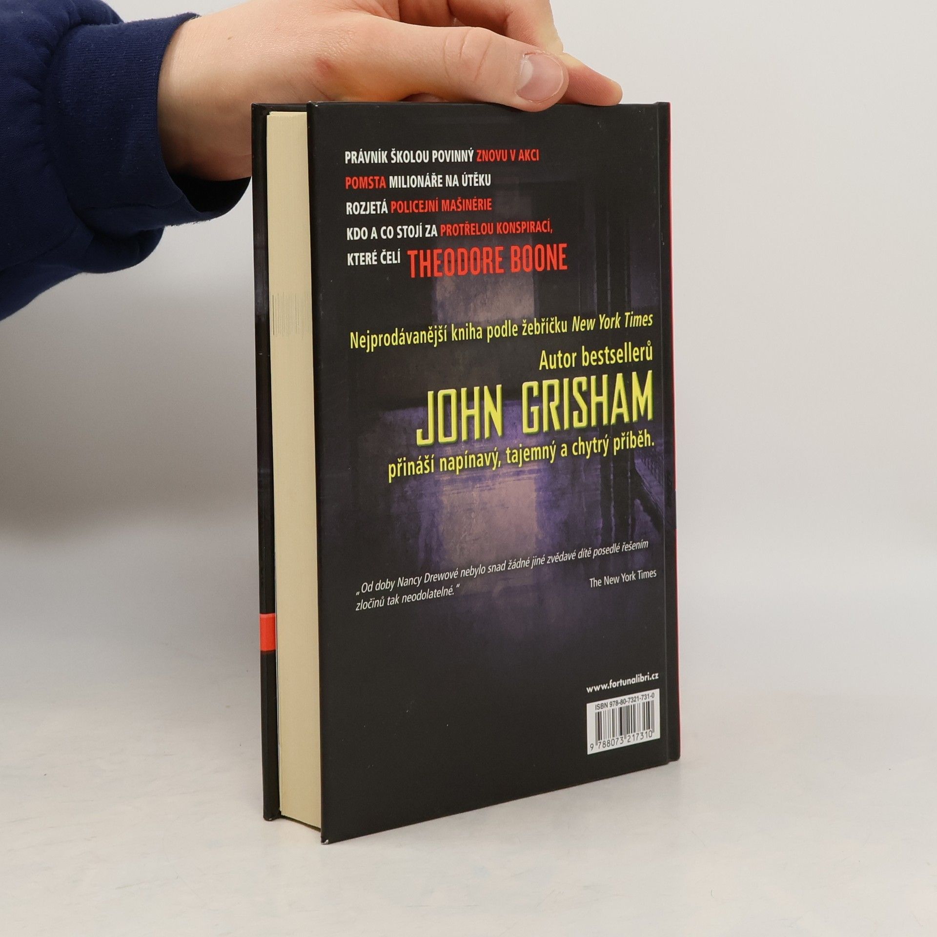 John Grisham Theodore Boone : obviněný
