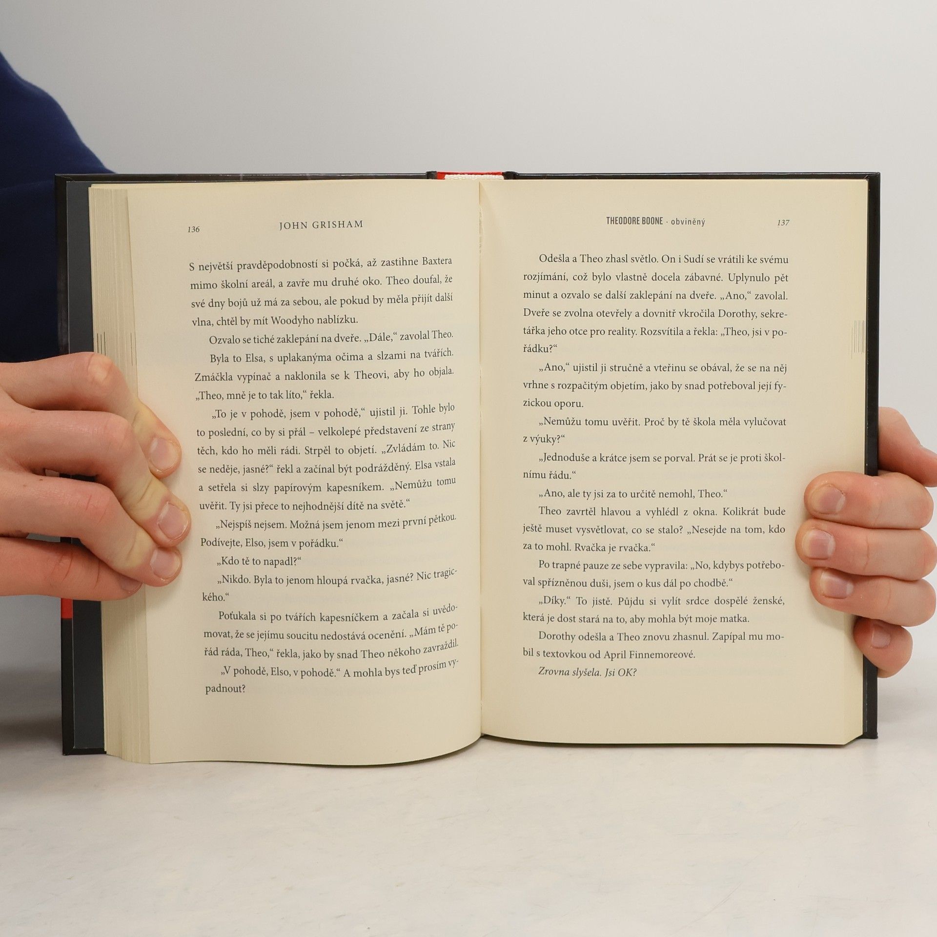 John Grisham Theodore Boone : obviněný