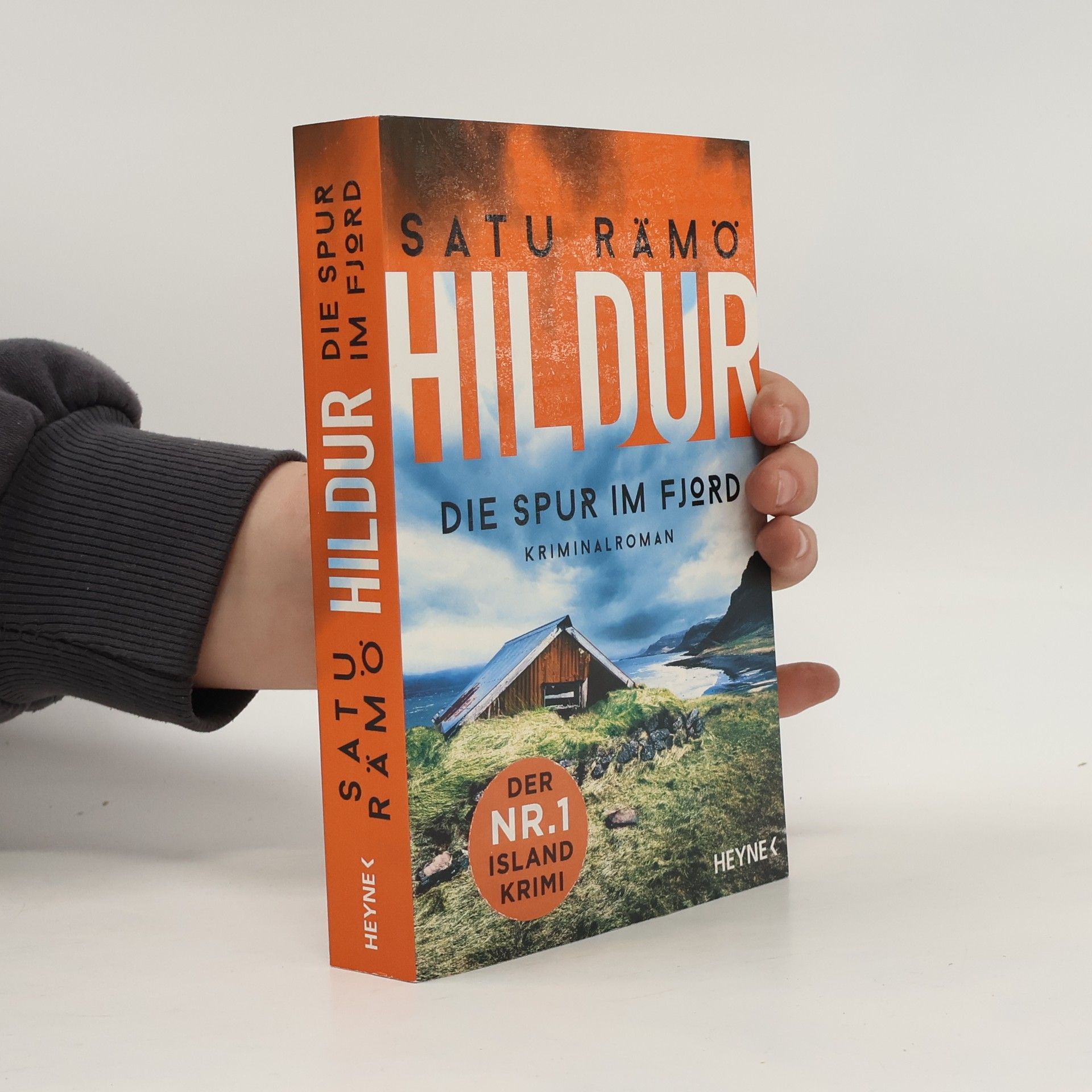 Satu Rämö Hildur. Die Spur im Fjord