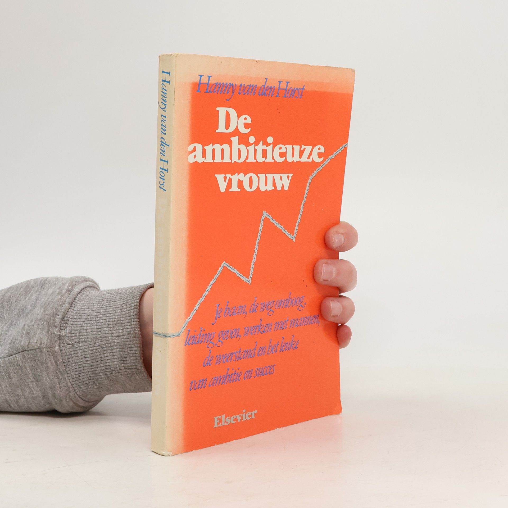 Hanny van den Horst De ambitieuze vrouw