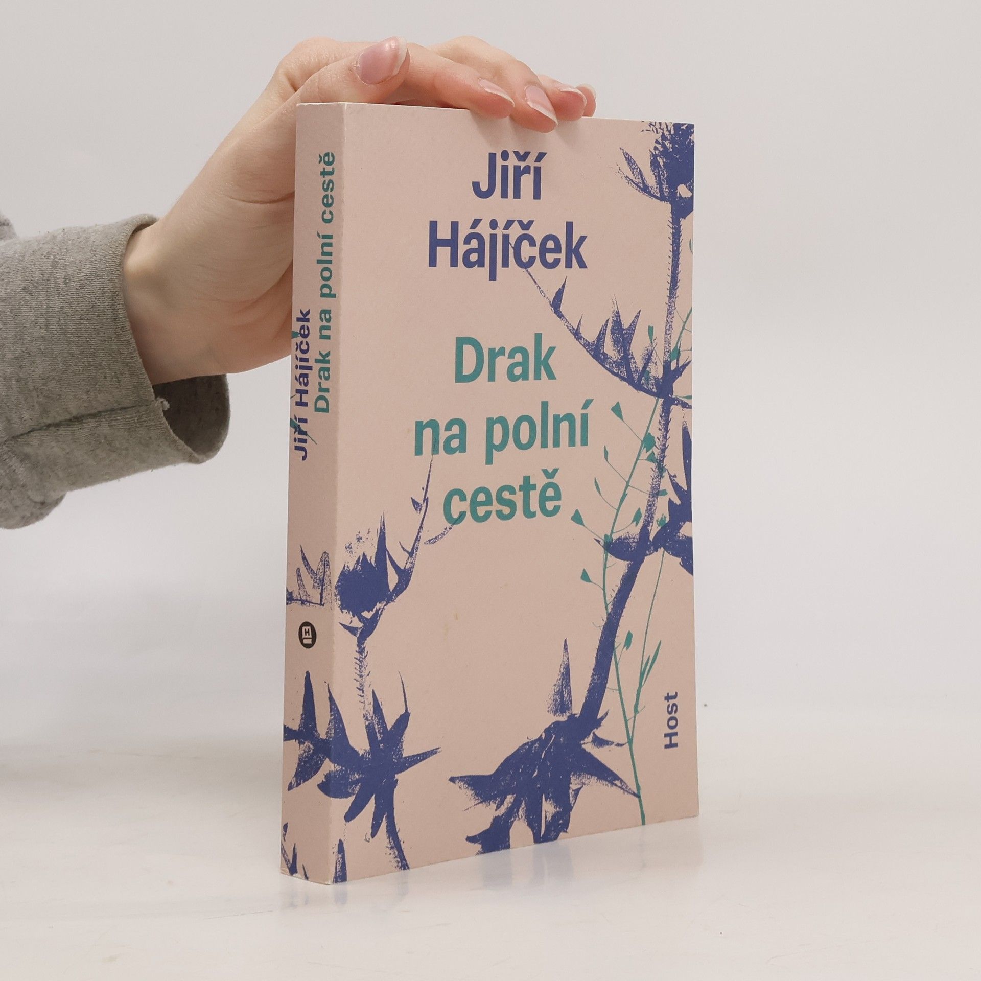 Jiří Hájíček Drak na polní cestě