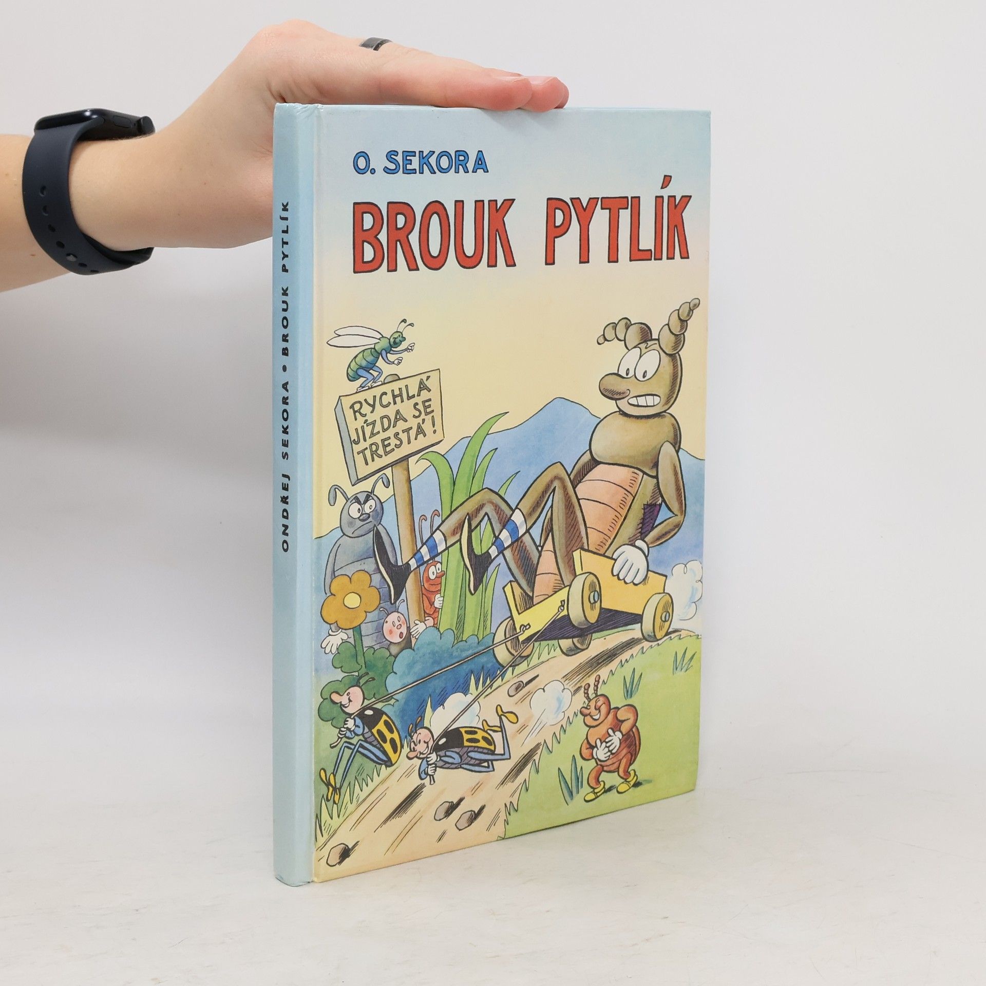 Ondřej Sekora Brouk Pytlík