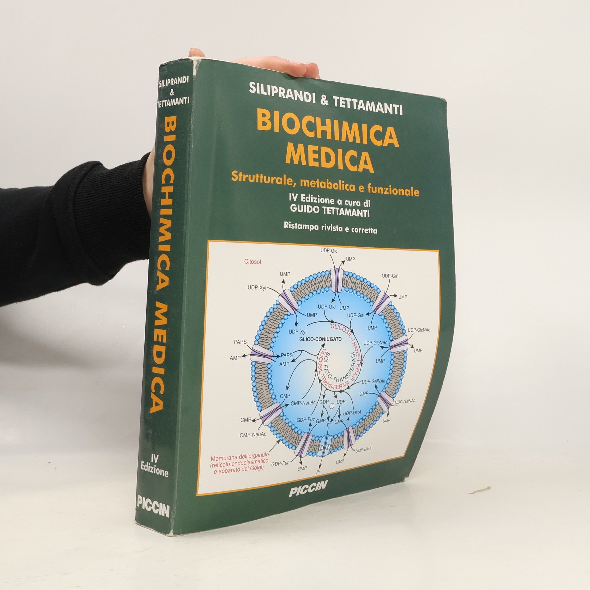 Noris Siliprandi Biochimica medica