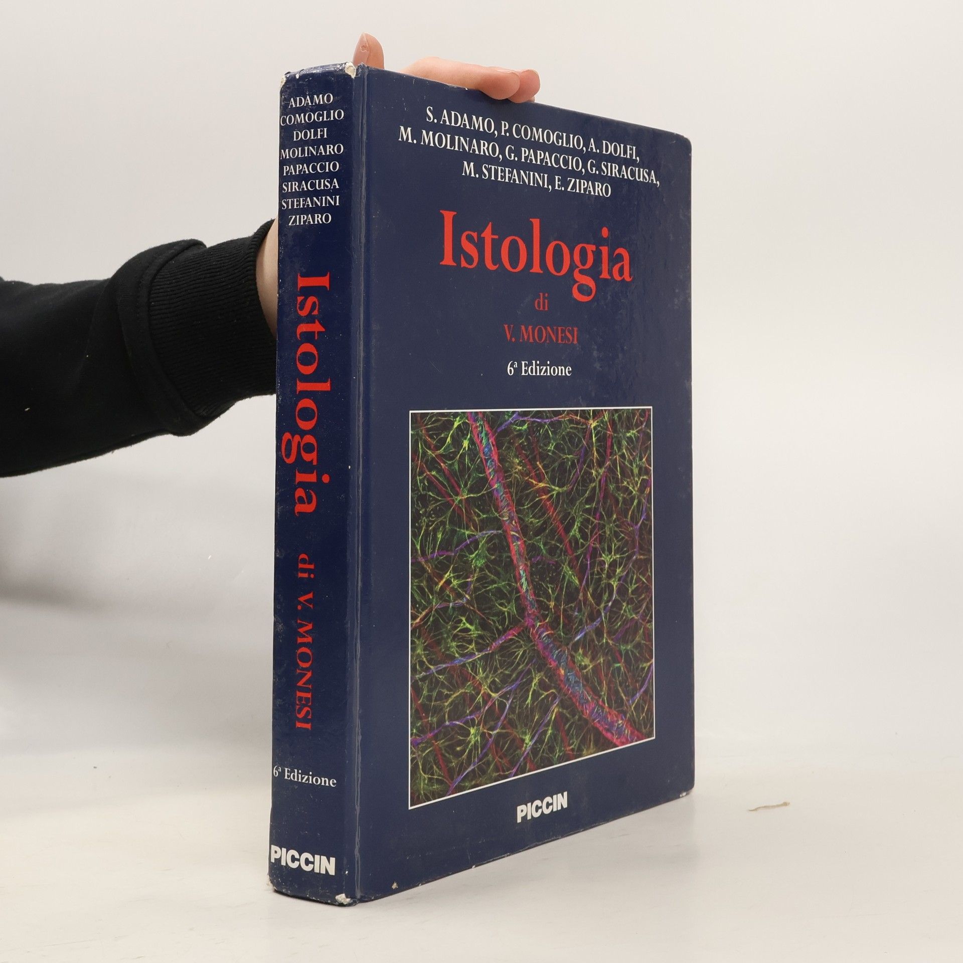 Salvatore Adamo Istologia