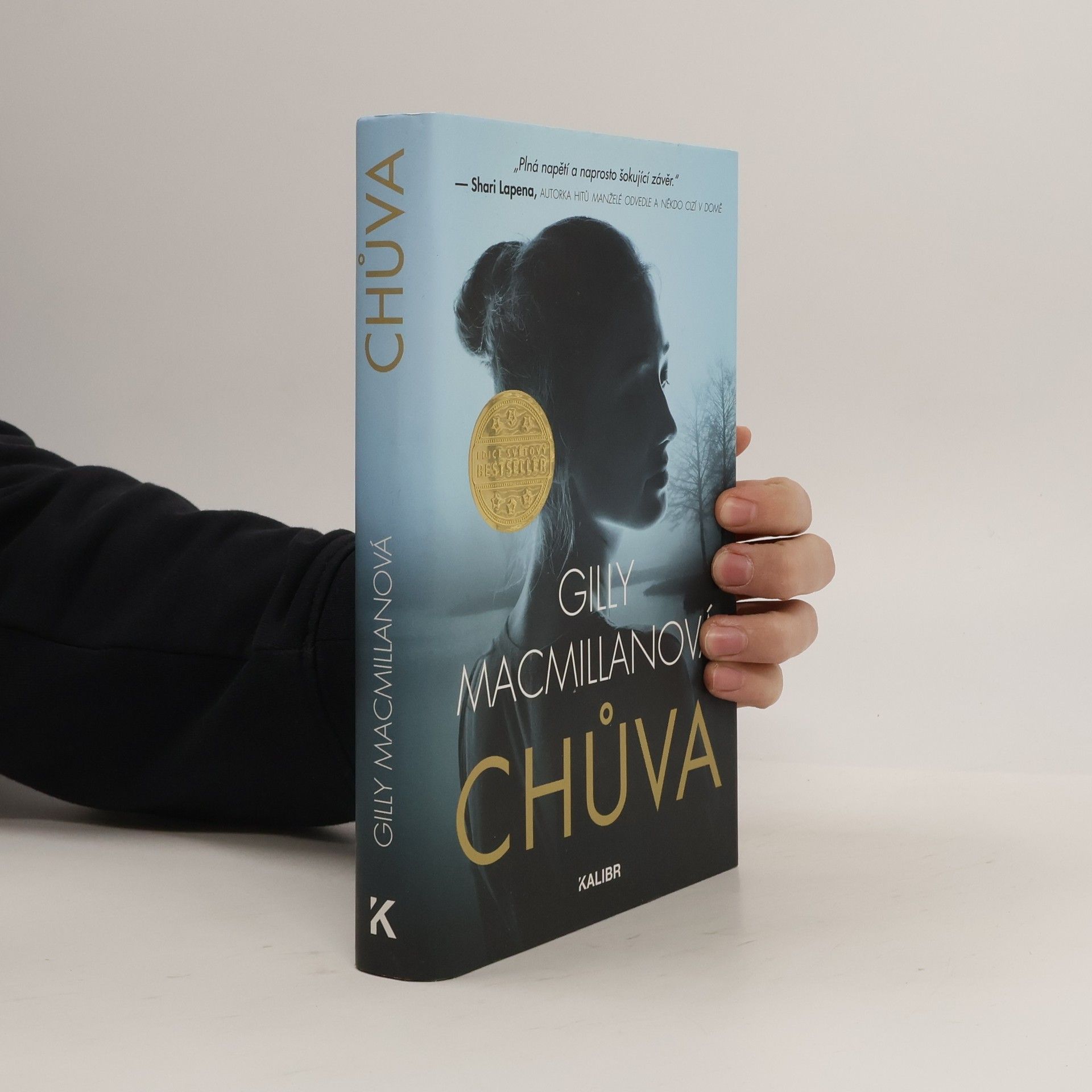 Gilly Macmillan Chůva