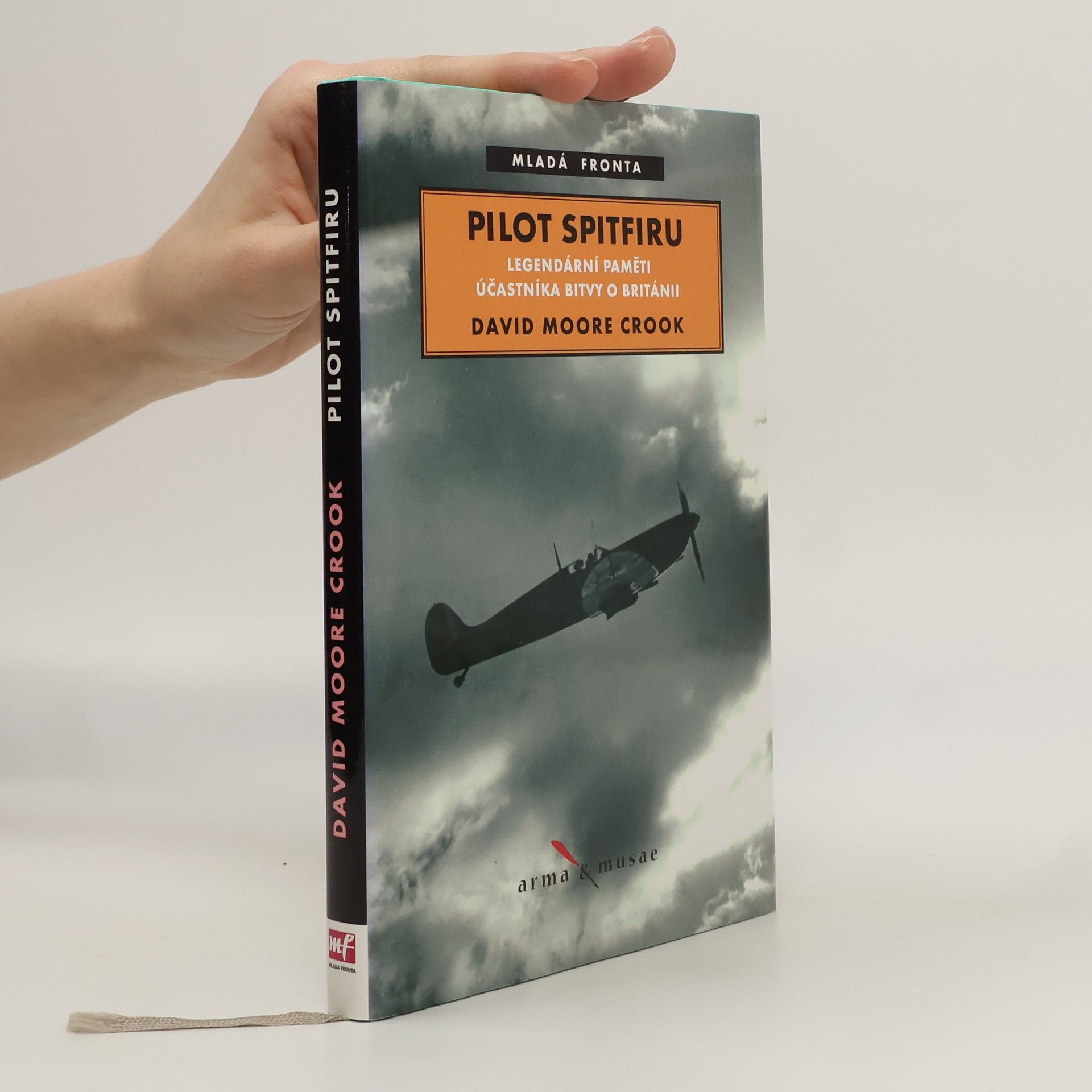 David Moore Crook Pilot Spitfiru