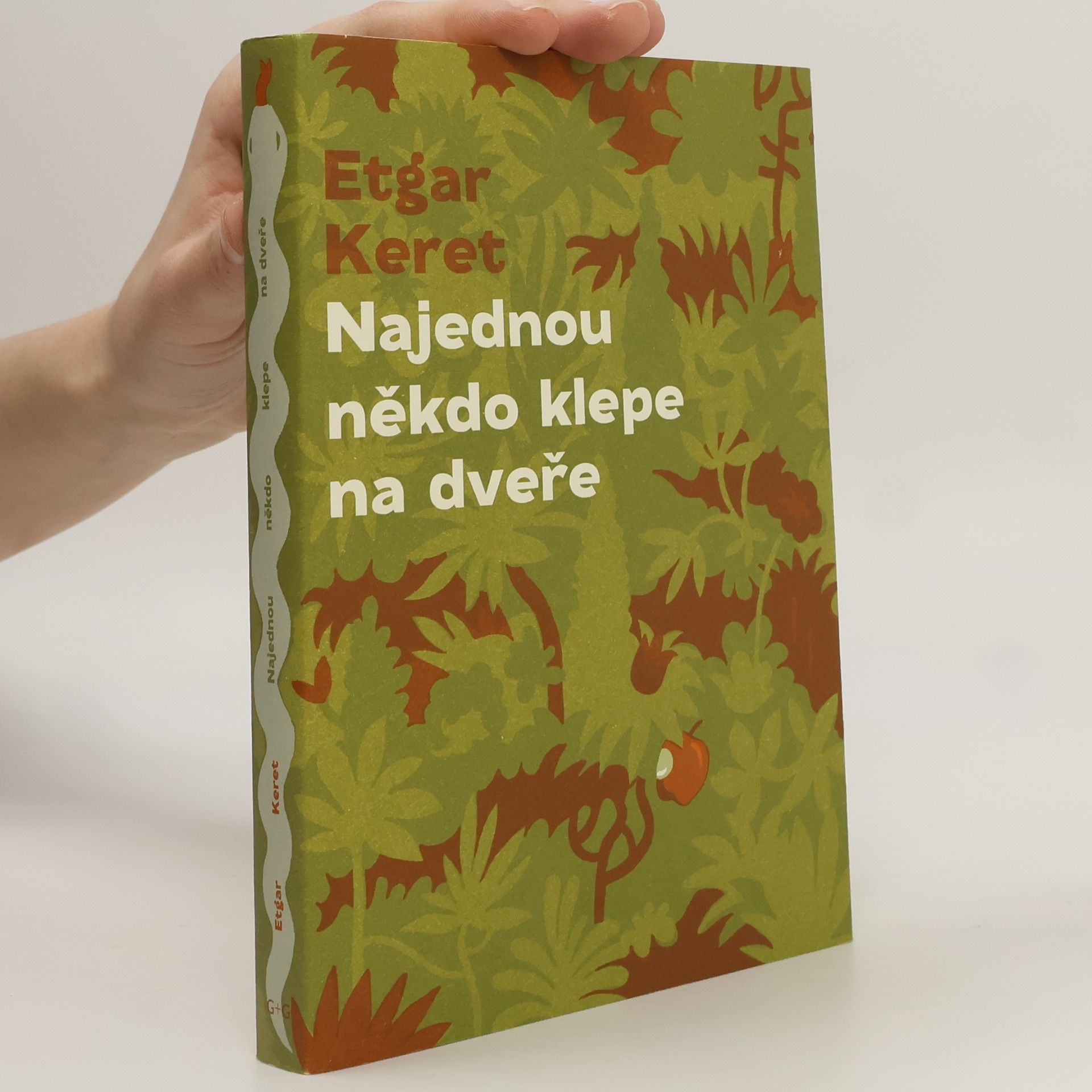 Etgar Keret Najednou někdo klepe na dveře