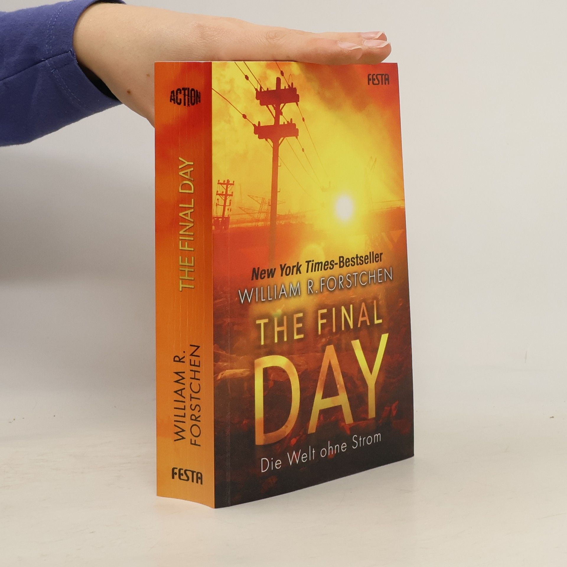 William R. Forstchen The final day