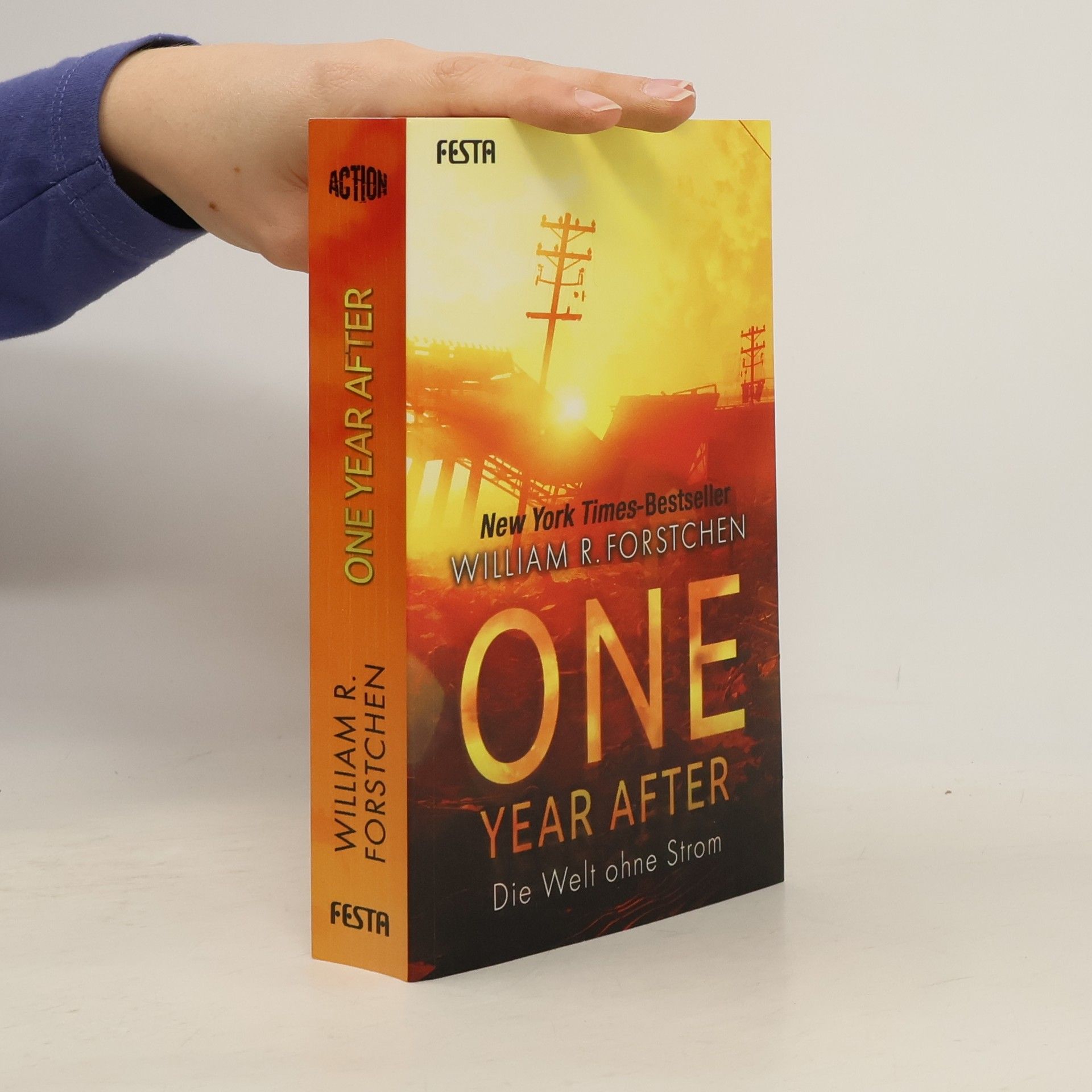 William R. Forstchen One year after