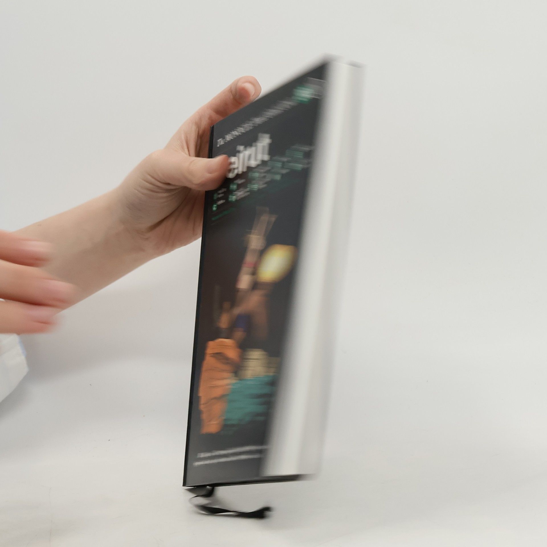 Joe Pickard The Monocle Travel Guide Series - 30: Beirut