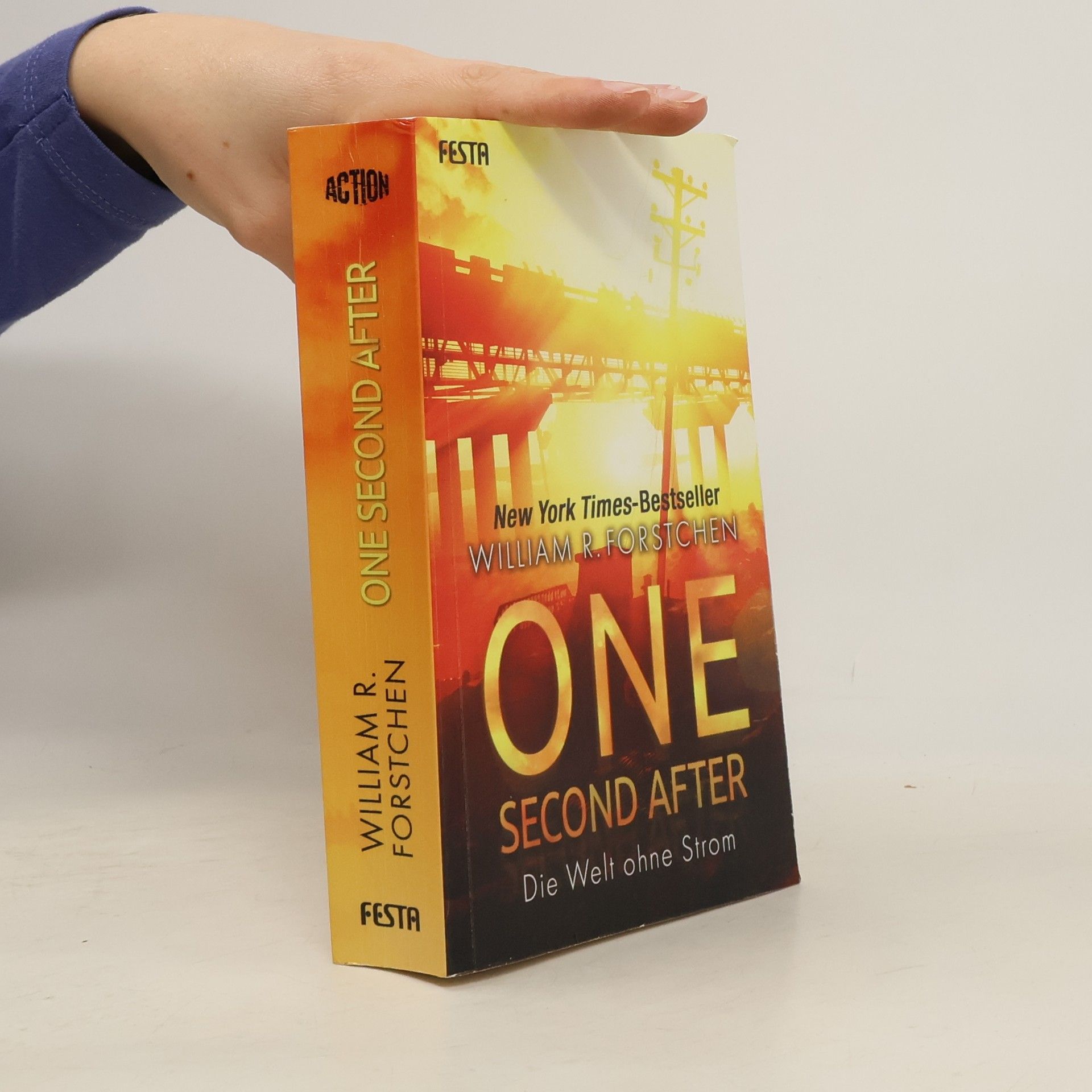 William R. Forstchen One second after