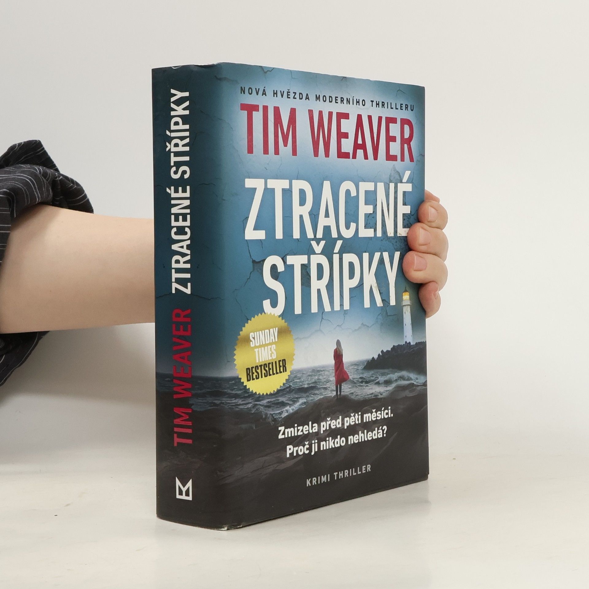 Tim Weaver Ztracené střípky