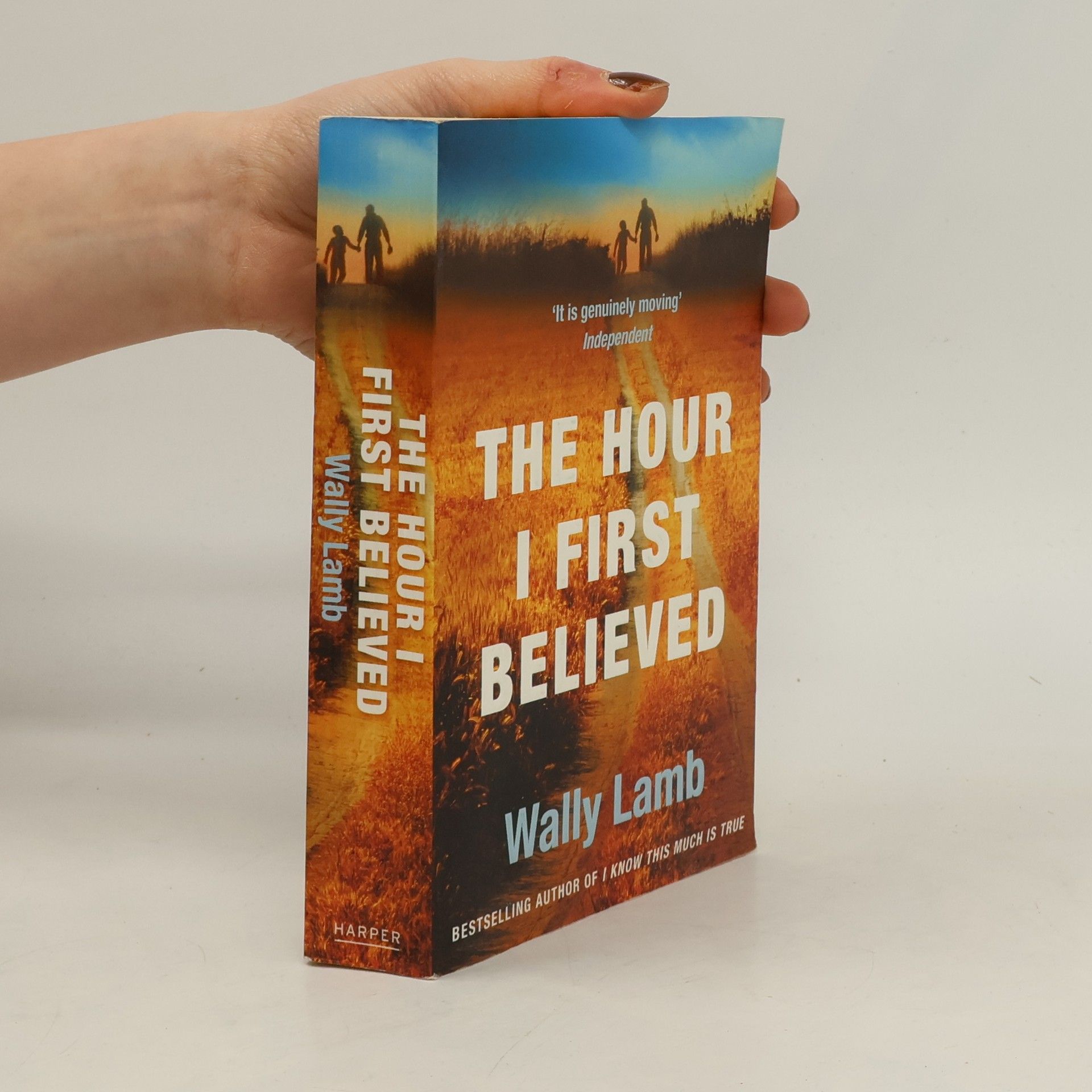 Wally Lamb Hour I First Believed