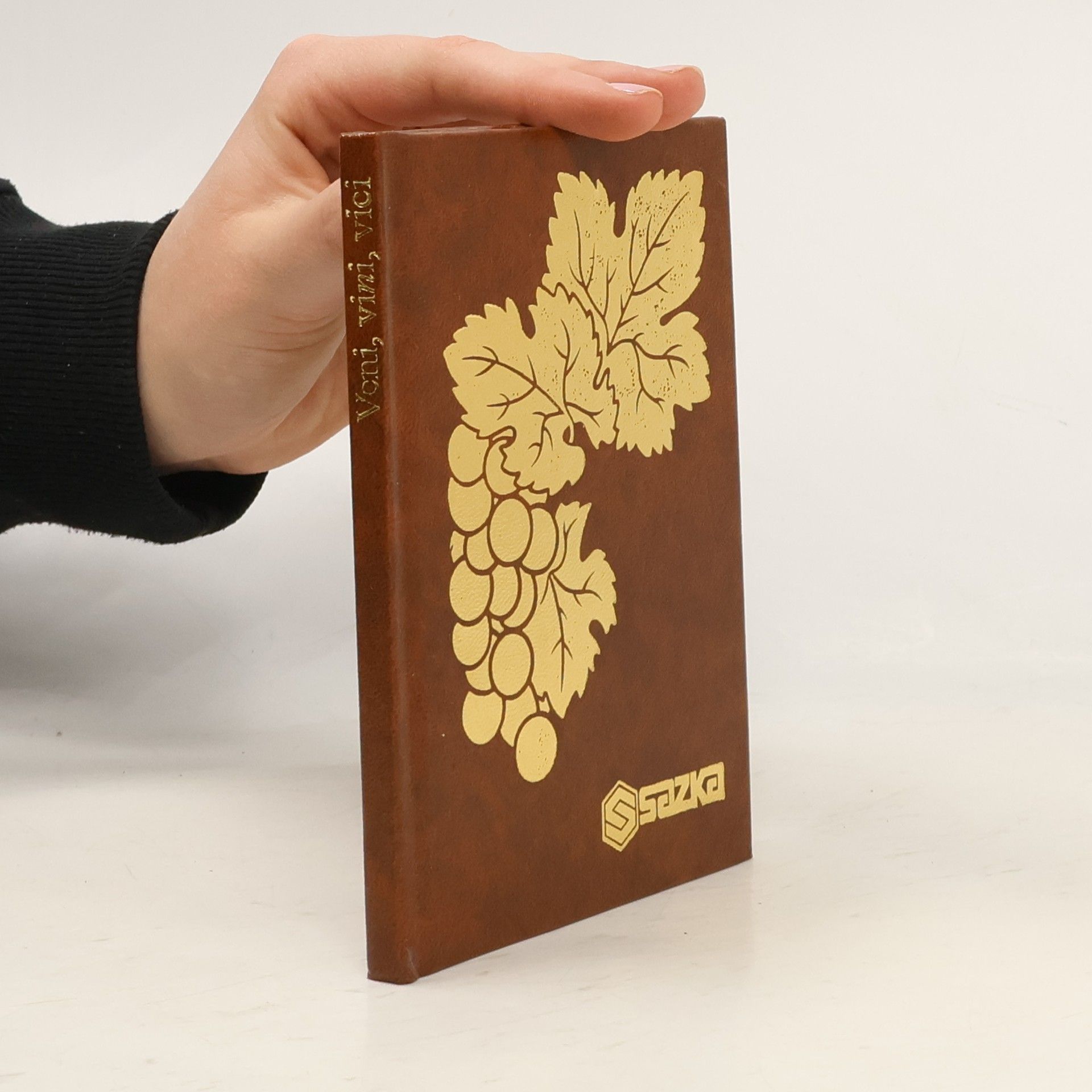 Josef Šmatlák Veni, vini, vici