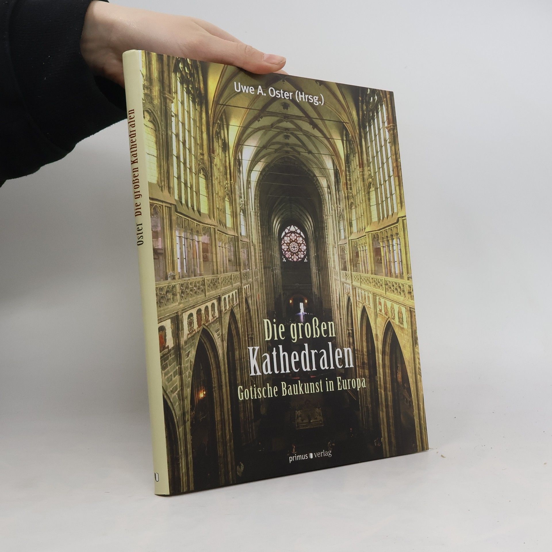 Uwe A. Oster Die grossen Kathedralen