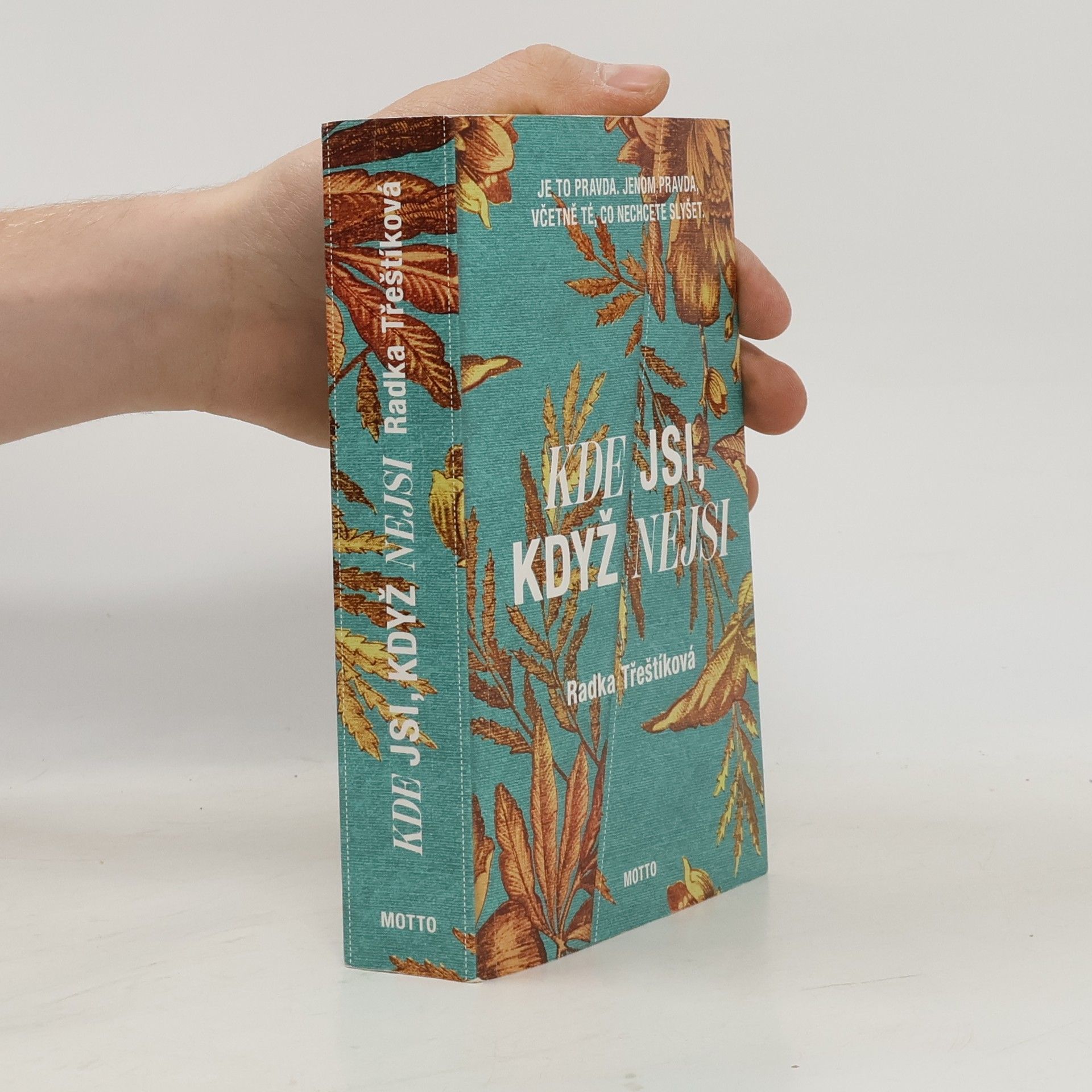 Radka Třeštíková Kde jsi, když nejsi