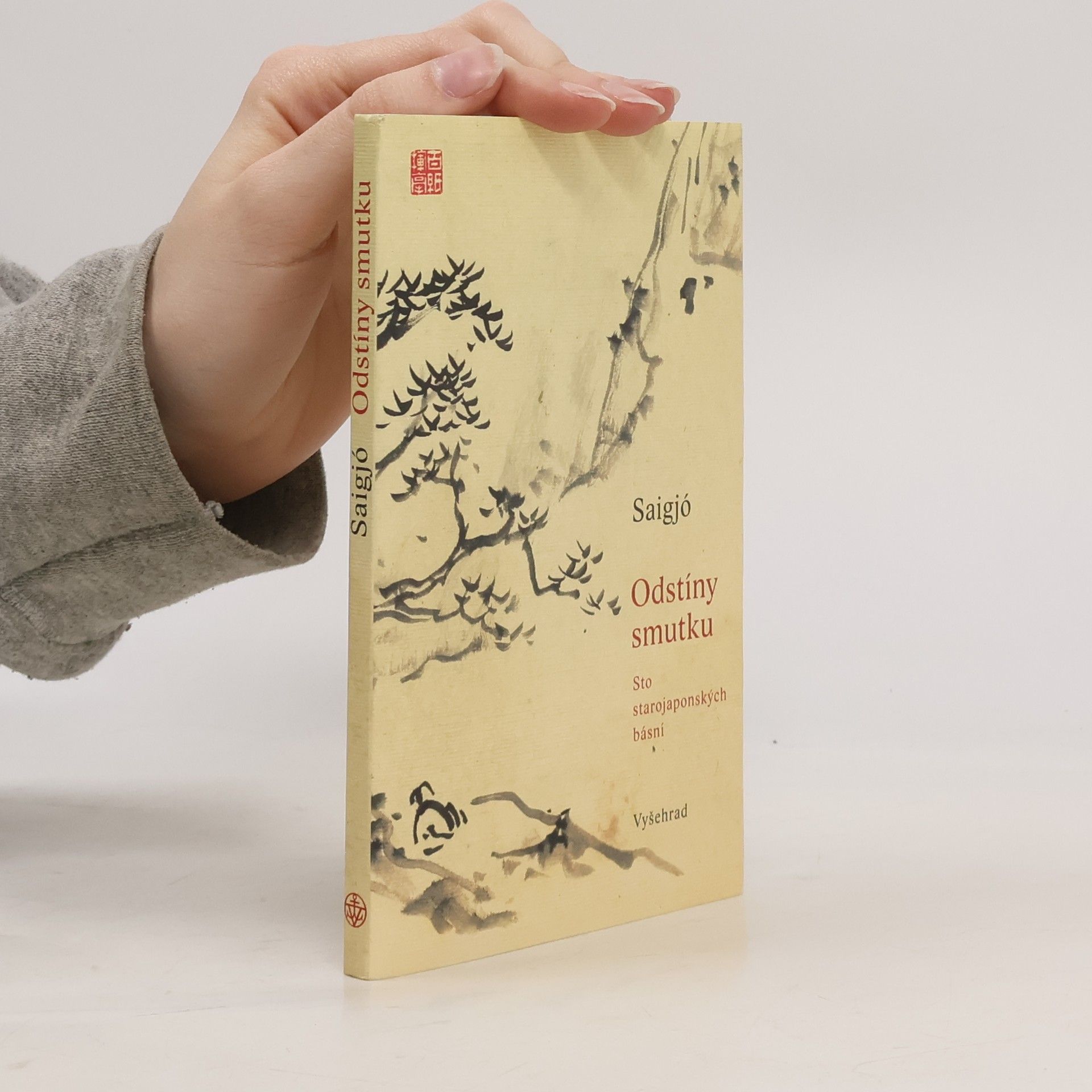 Saigjó Odstíny smutku