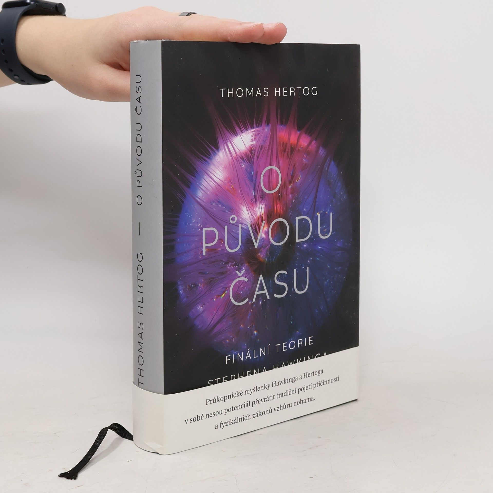 O původu času : finální teorie Stephena Hawkinga