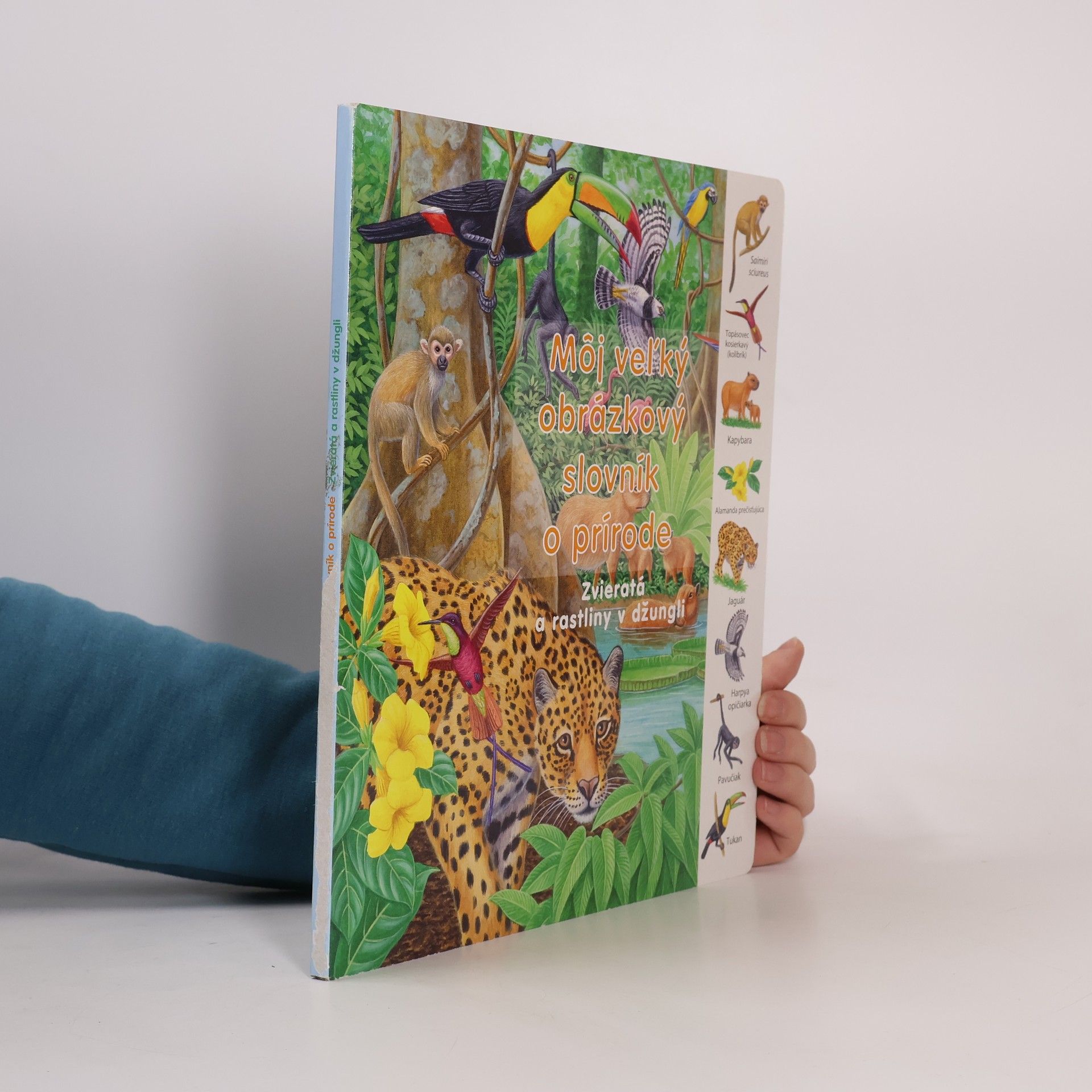 Kolektiv autorů Môj veľký obrázkový slovník o prírode