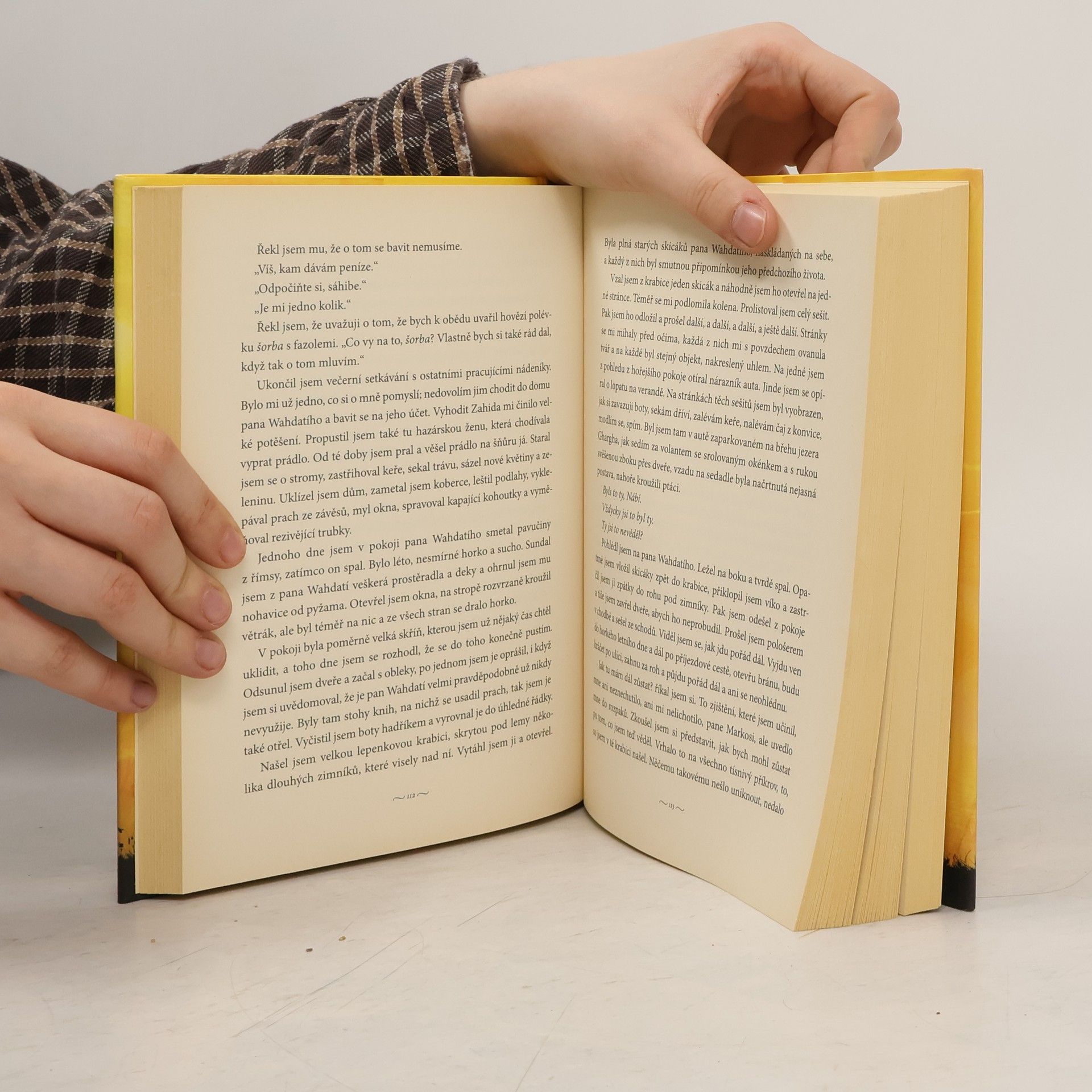 Khaled Hosseini A hory odpověděly