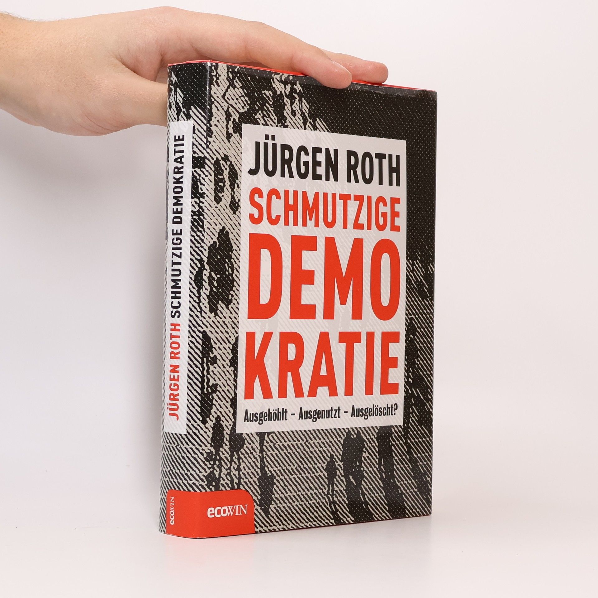 Jürgen Roeth Schmutzige Demokratie