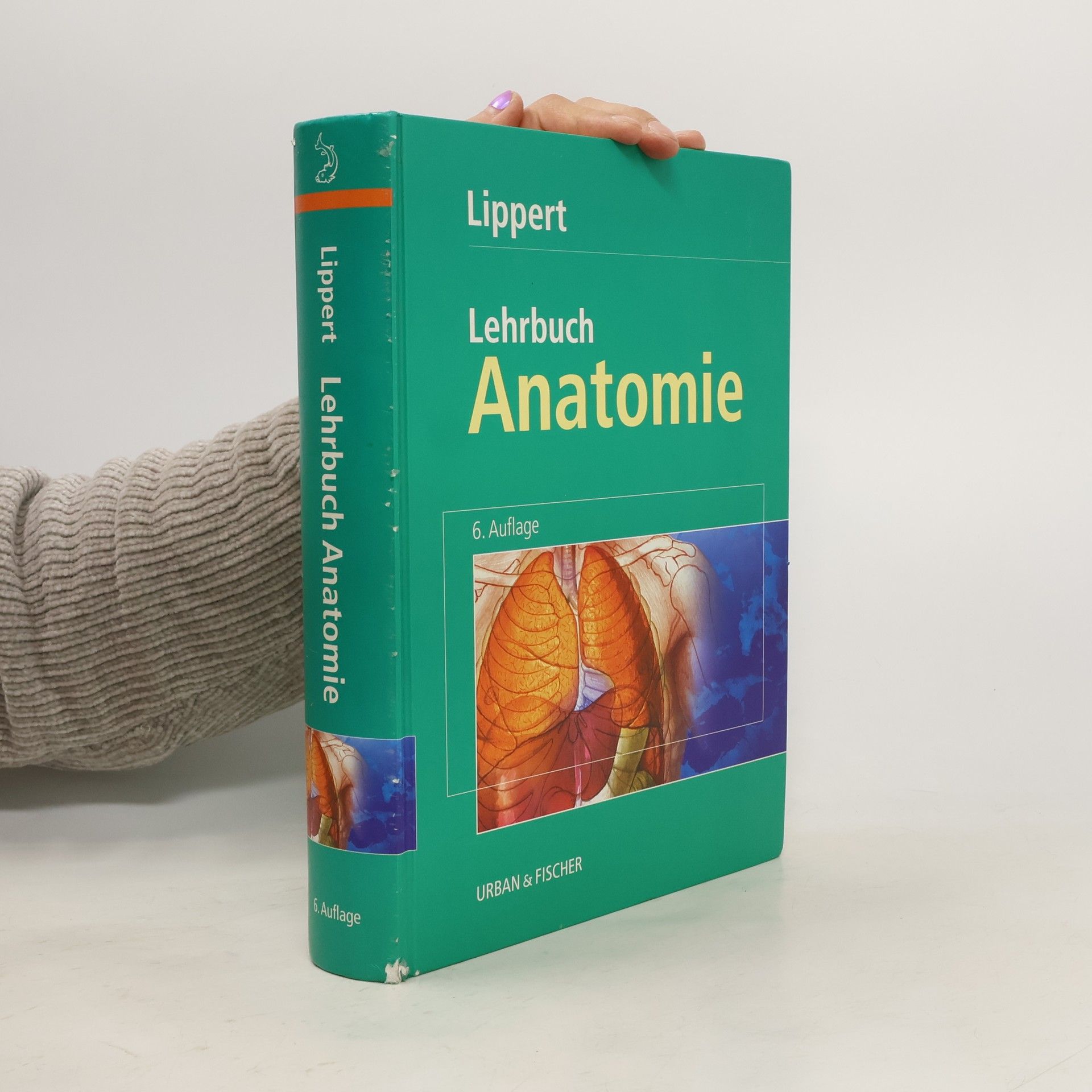 Herbert Lippert Lehrbuch Anatomie