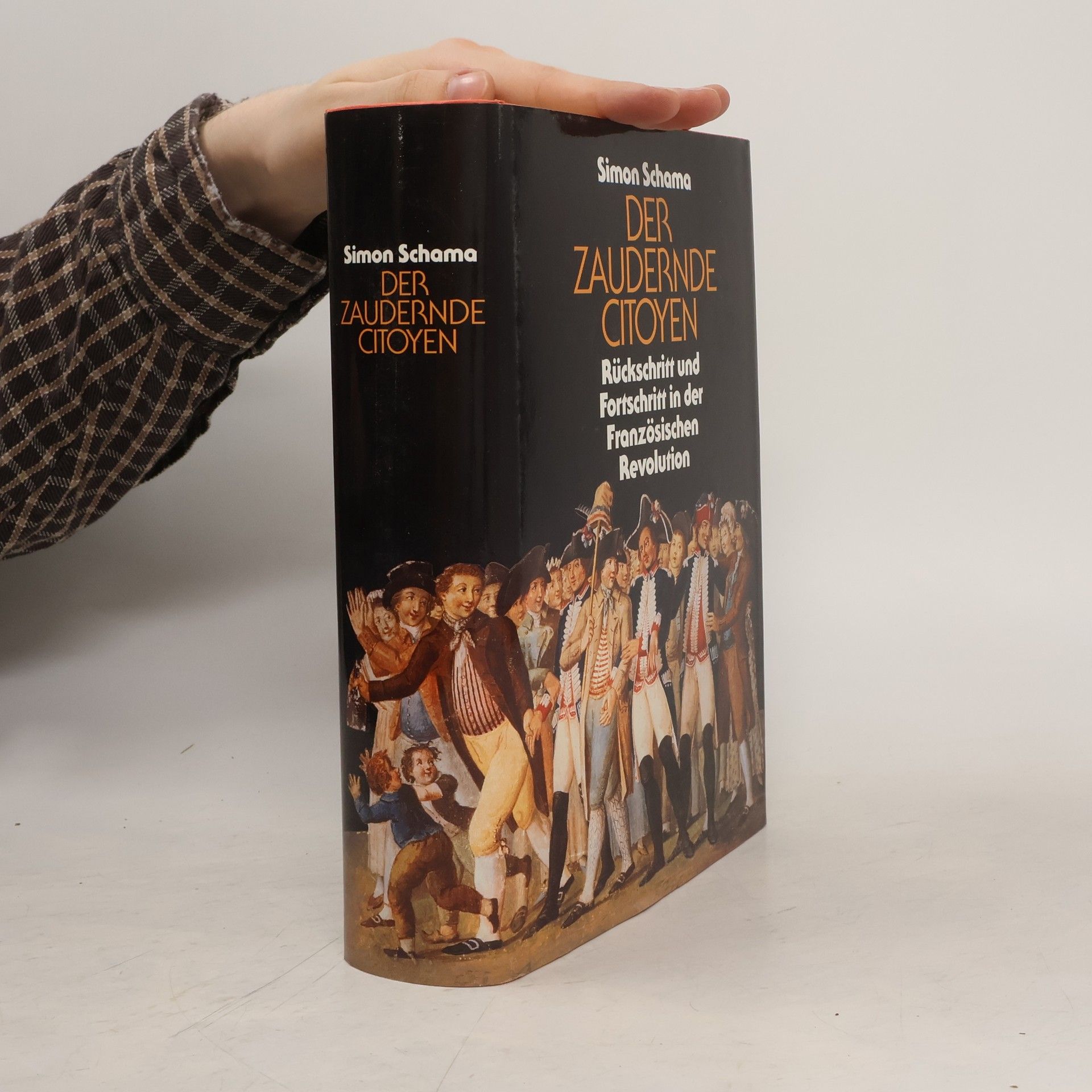 Simon Schama Der zaudernde Citoyen