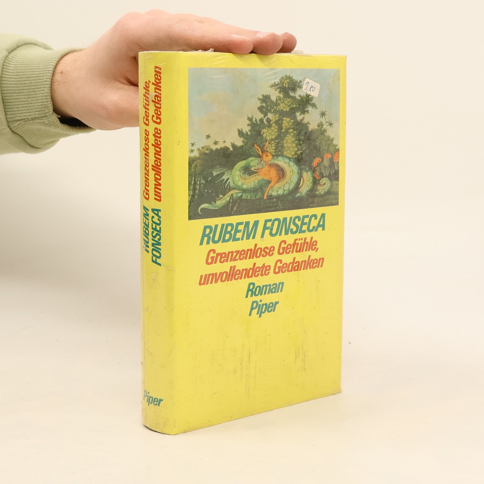 Rubem Fonseca Grenzenlose Gefühle, unvollendete Gedanken