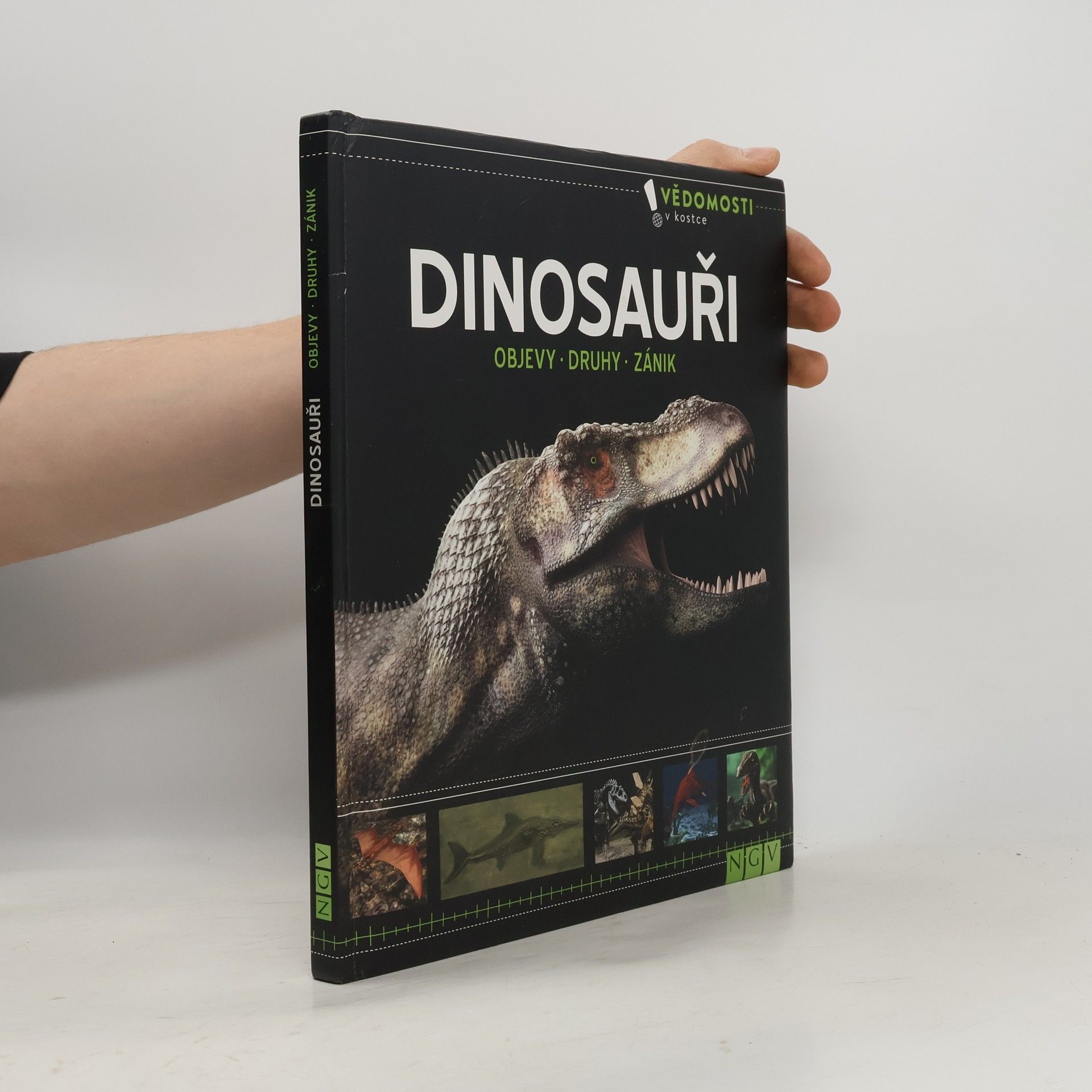 Kolektiv autorů Dinosauři