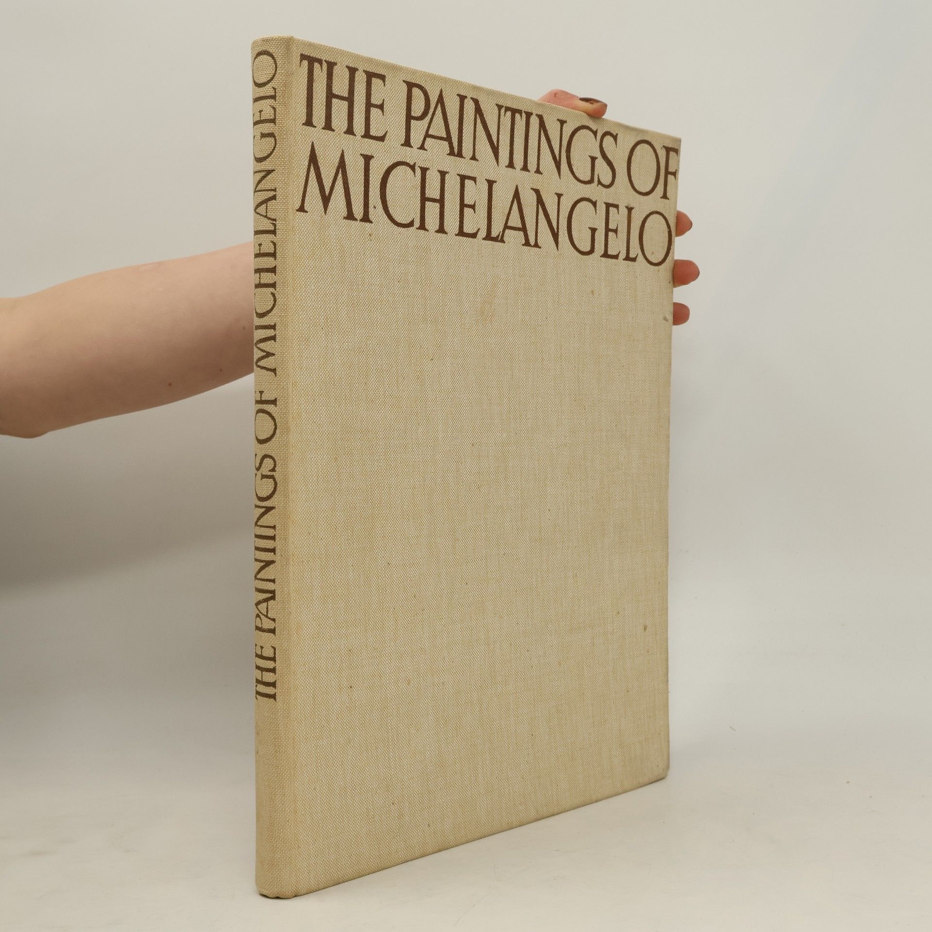 Kolektiv autorů The Paintings of Michelangelo