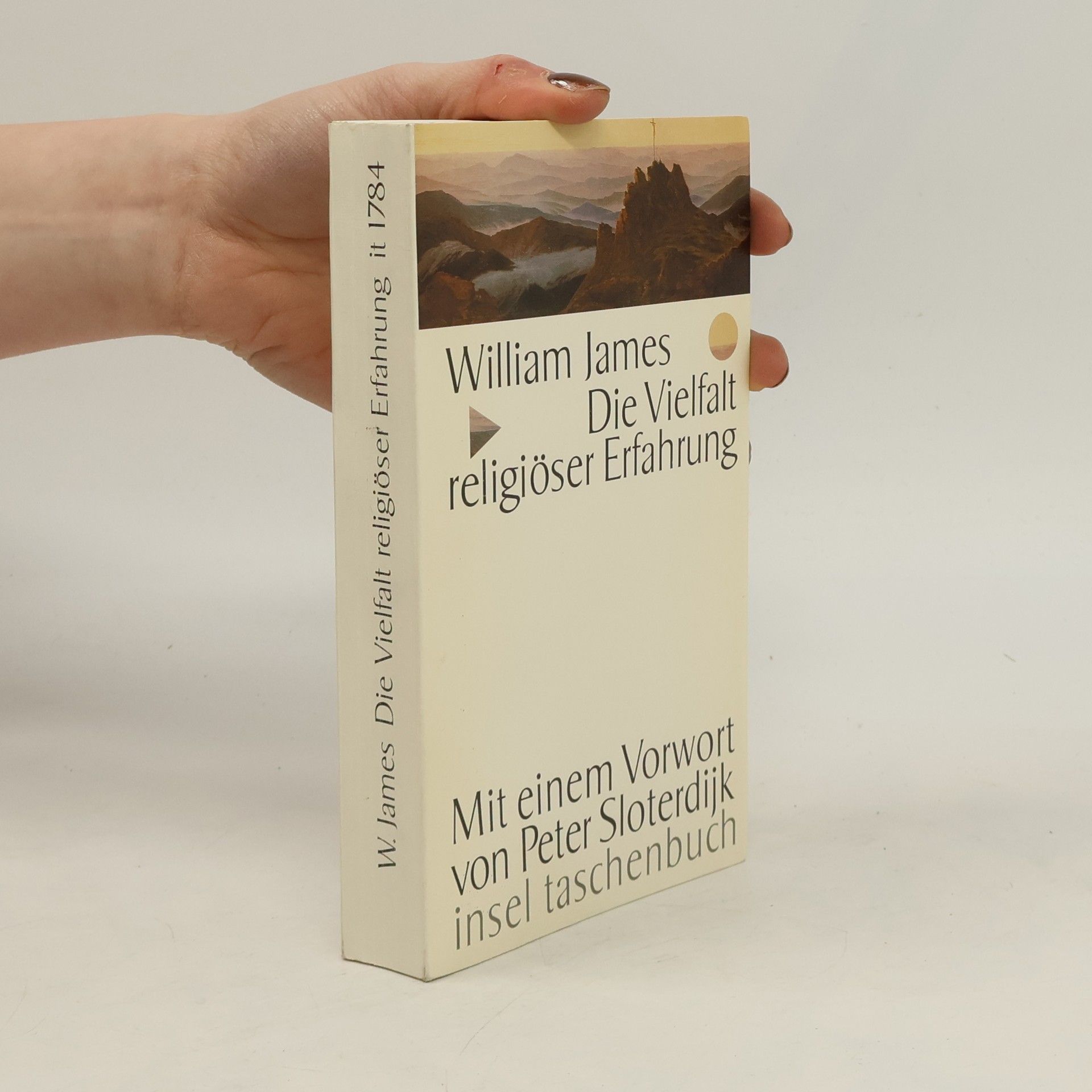 William James Die Vielfalt religiöser Erfahrung