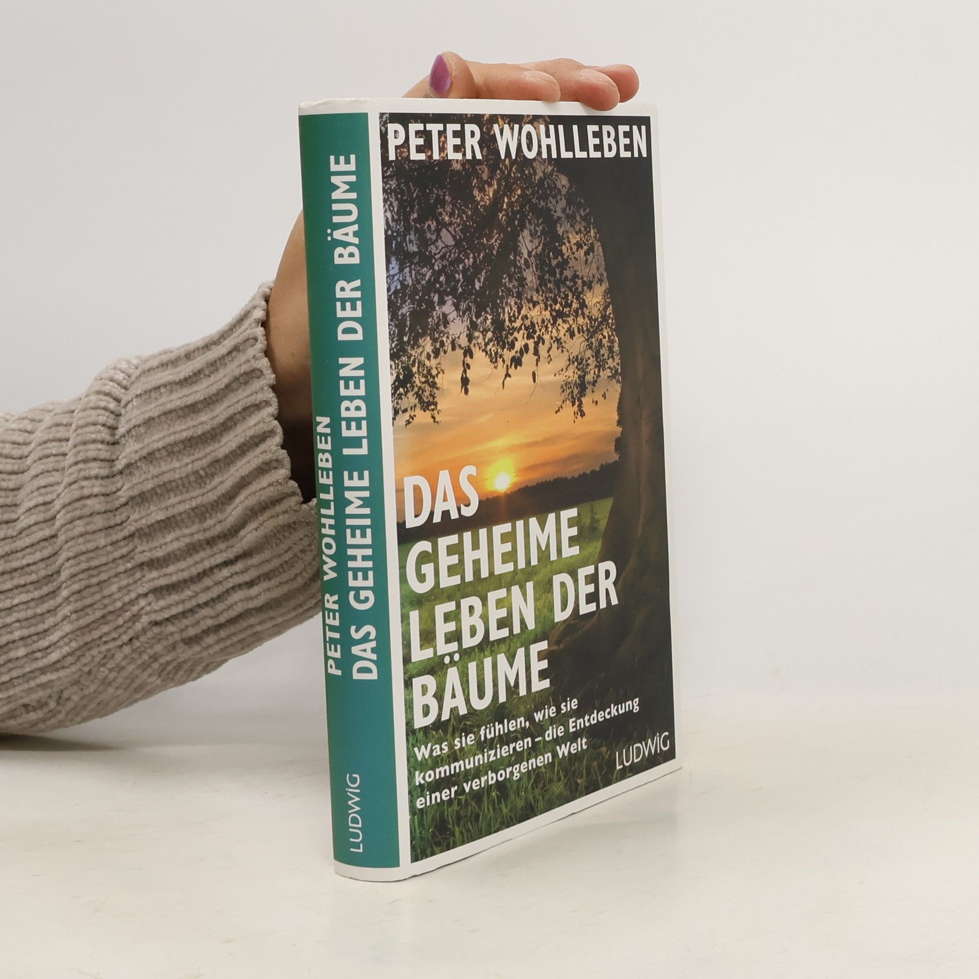 Peter Wohlleben Das geheime Leben der Bäume