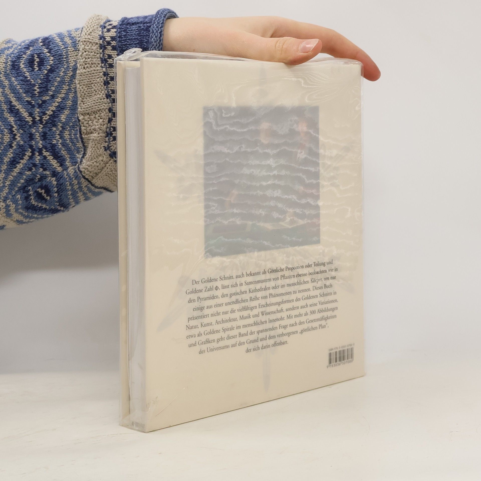 Priya Hemenway Der geheime Code : Die rätselhafte Formel, die Kunst, Natur und Wissenschft bestimt