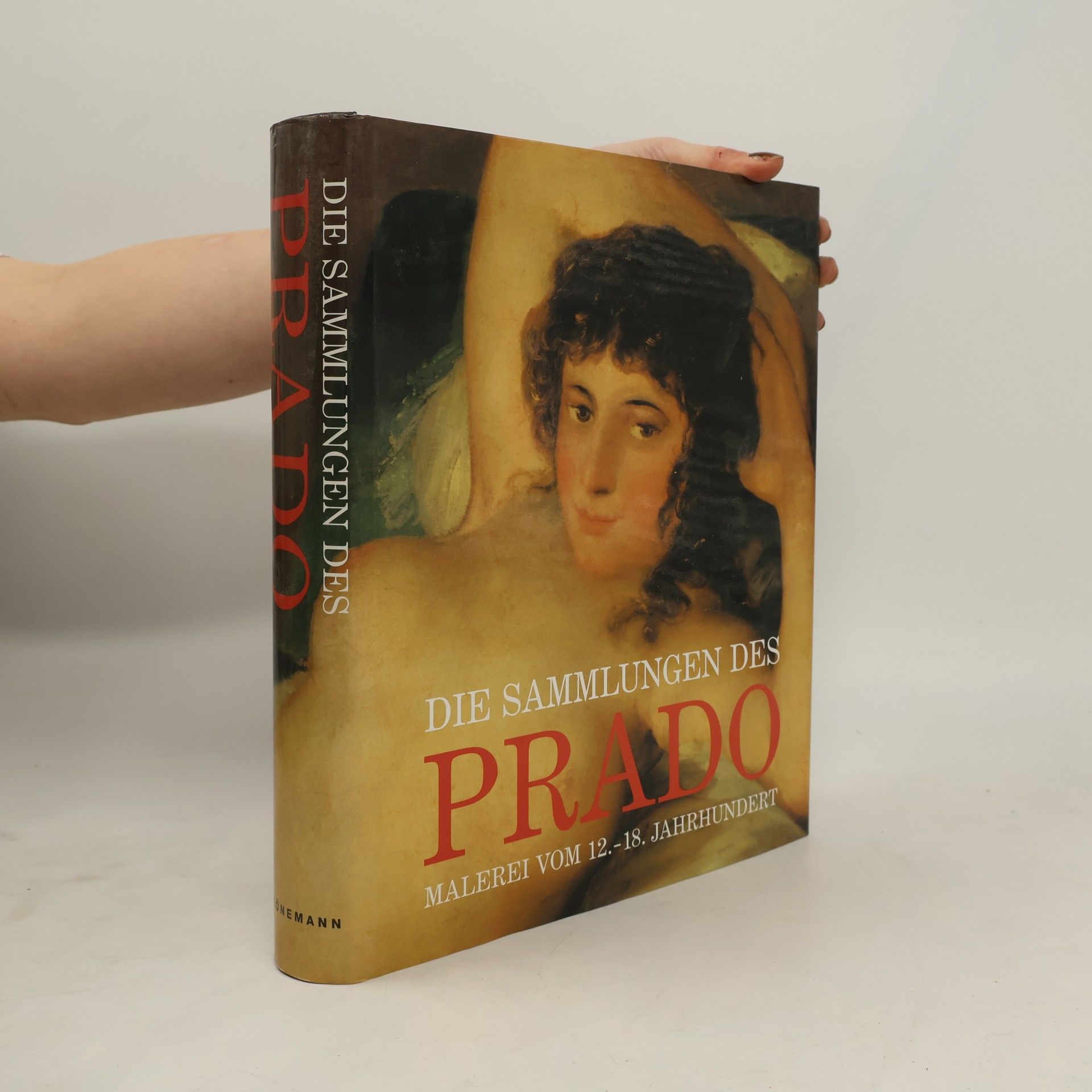 José Rogelio Buendía Die Sammlungen des Prado : malerei vom 12. - 18. Jahrhundert