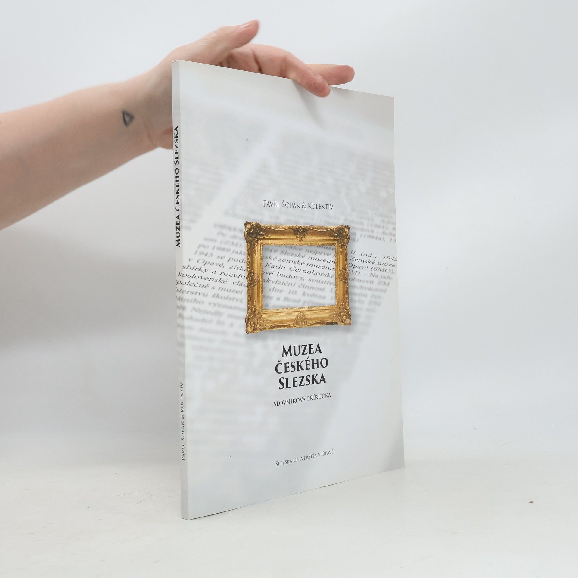 Muzea Českého Slezska