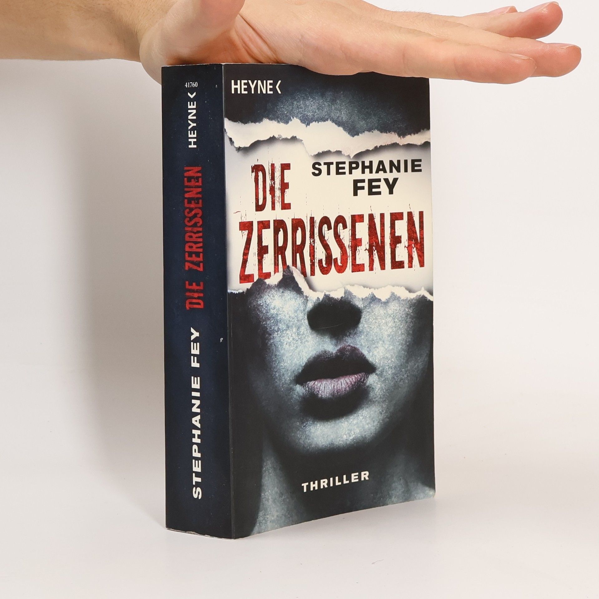 Stephanie Fey Die Zerrissenen