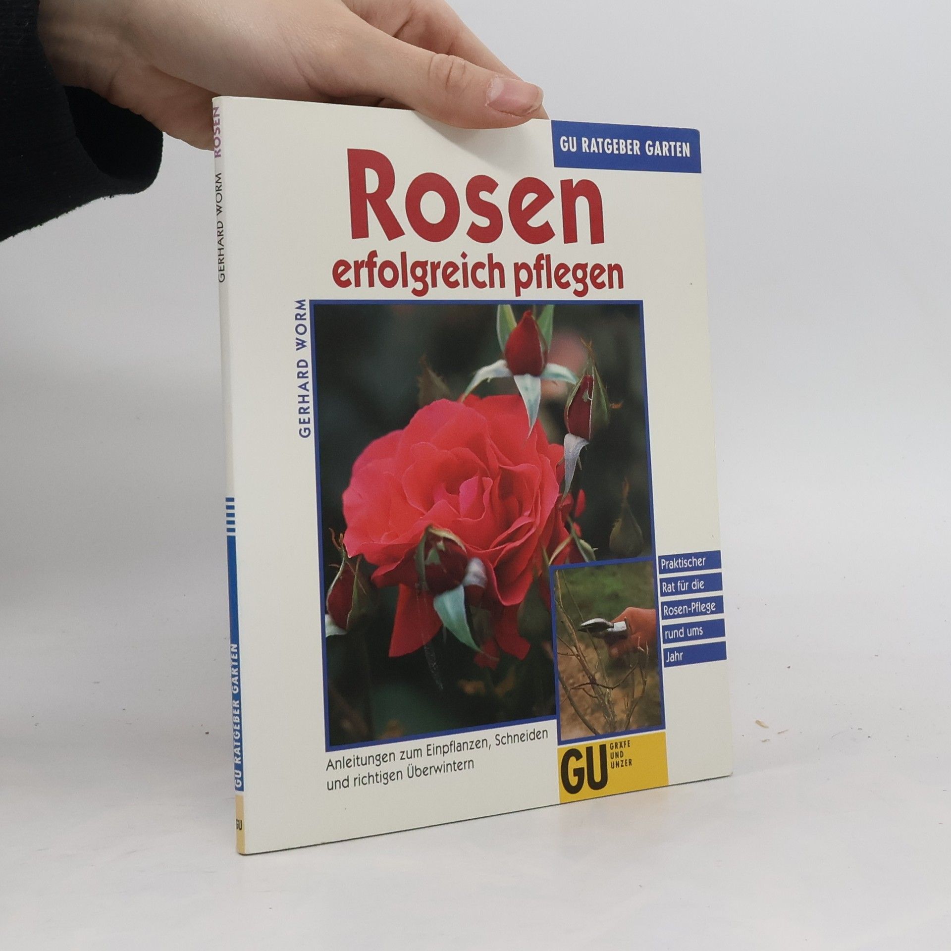 Gerhard Worm Rosen erfolgreich pflegen